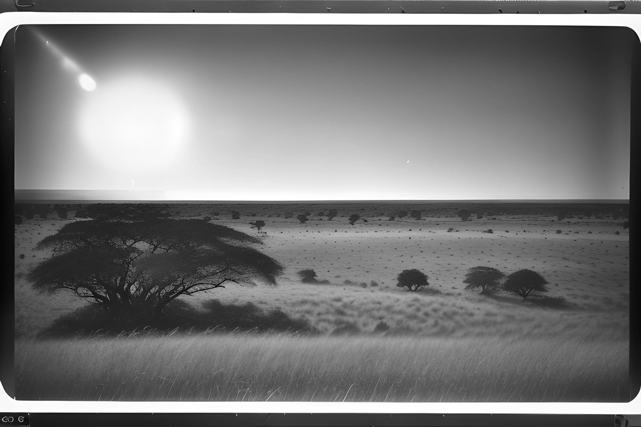 Nikon-EF300-black-white-photo-bnv