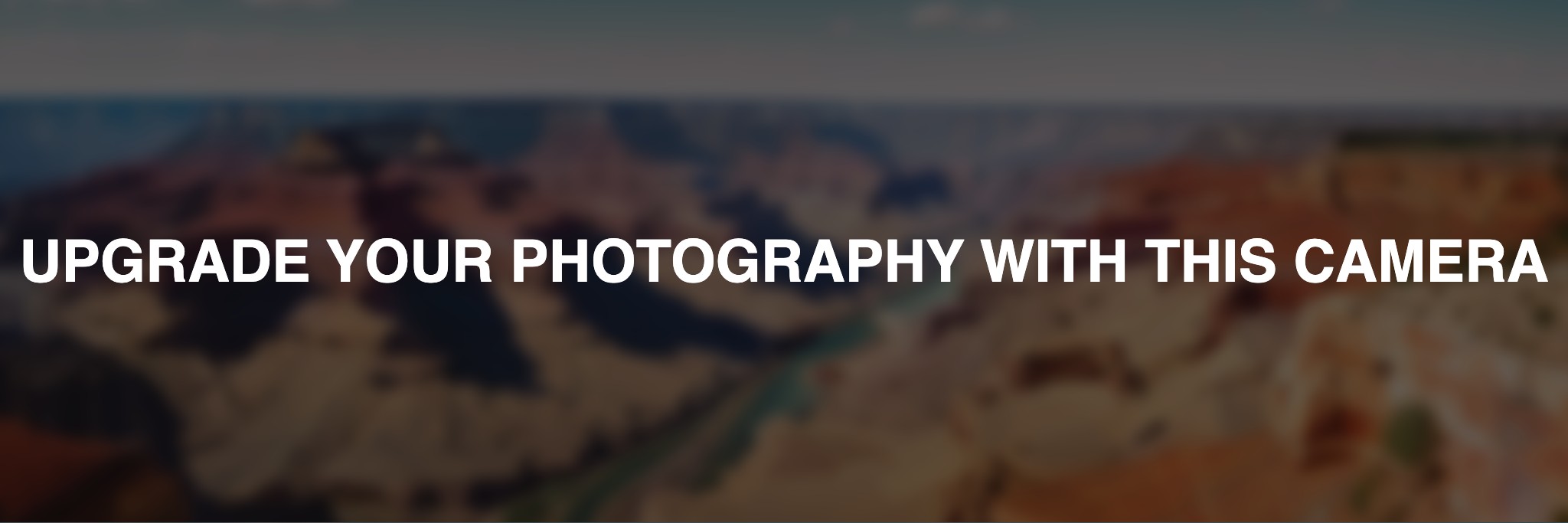 Nikon-F-801-online-shop-bnv