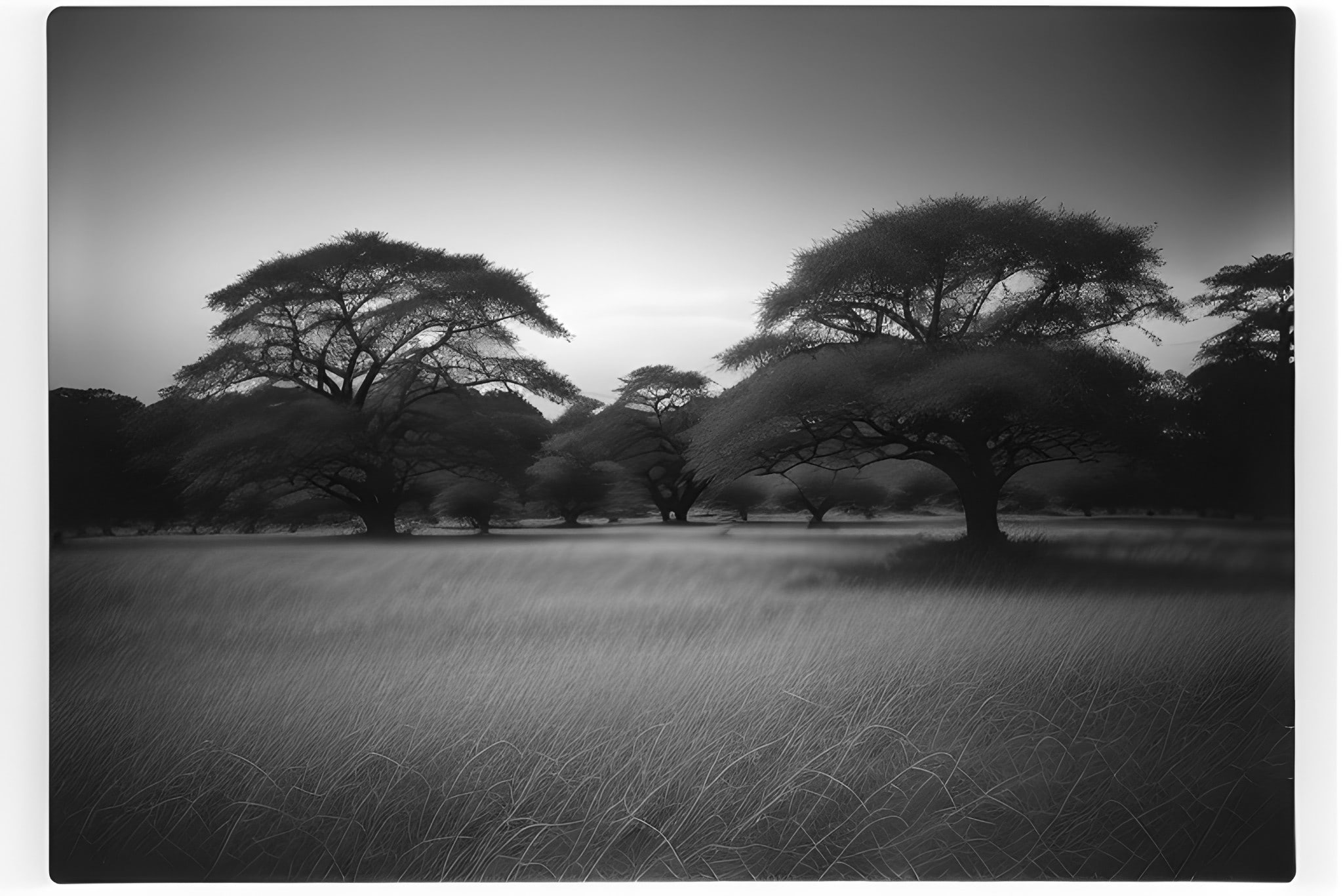 Polaroid-Nero-black-white-photo-bnv
