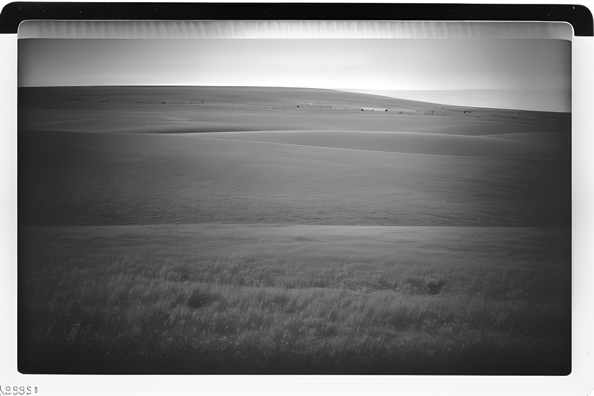 Polaroid-Planum-Gold-black-white-photo-bnv