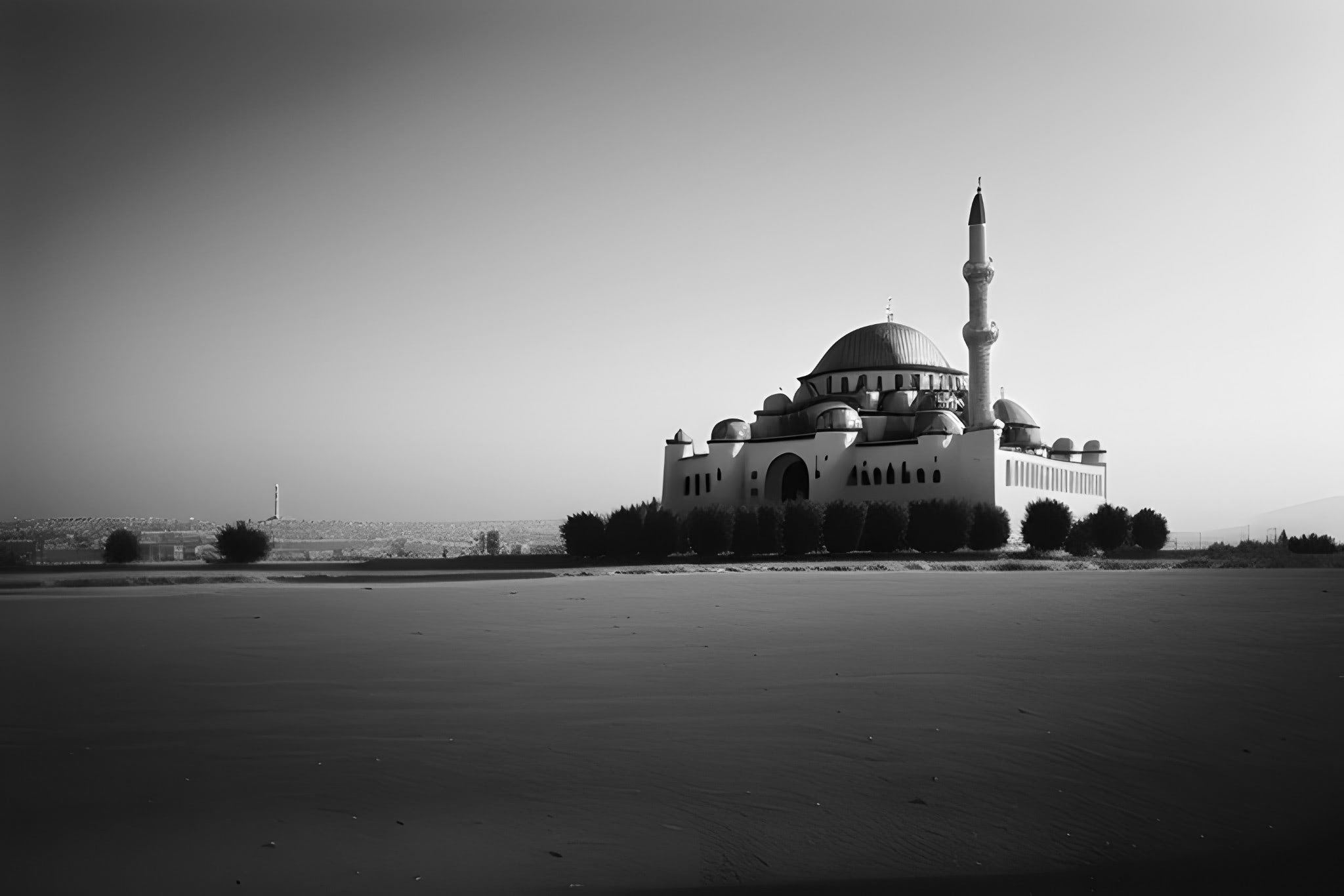 Polaroid-Zoecam-black-white-photo-bnv