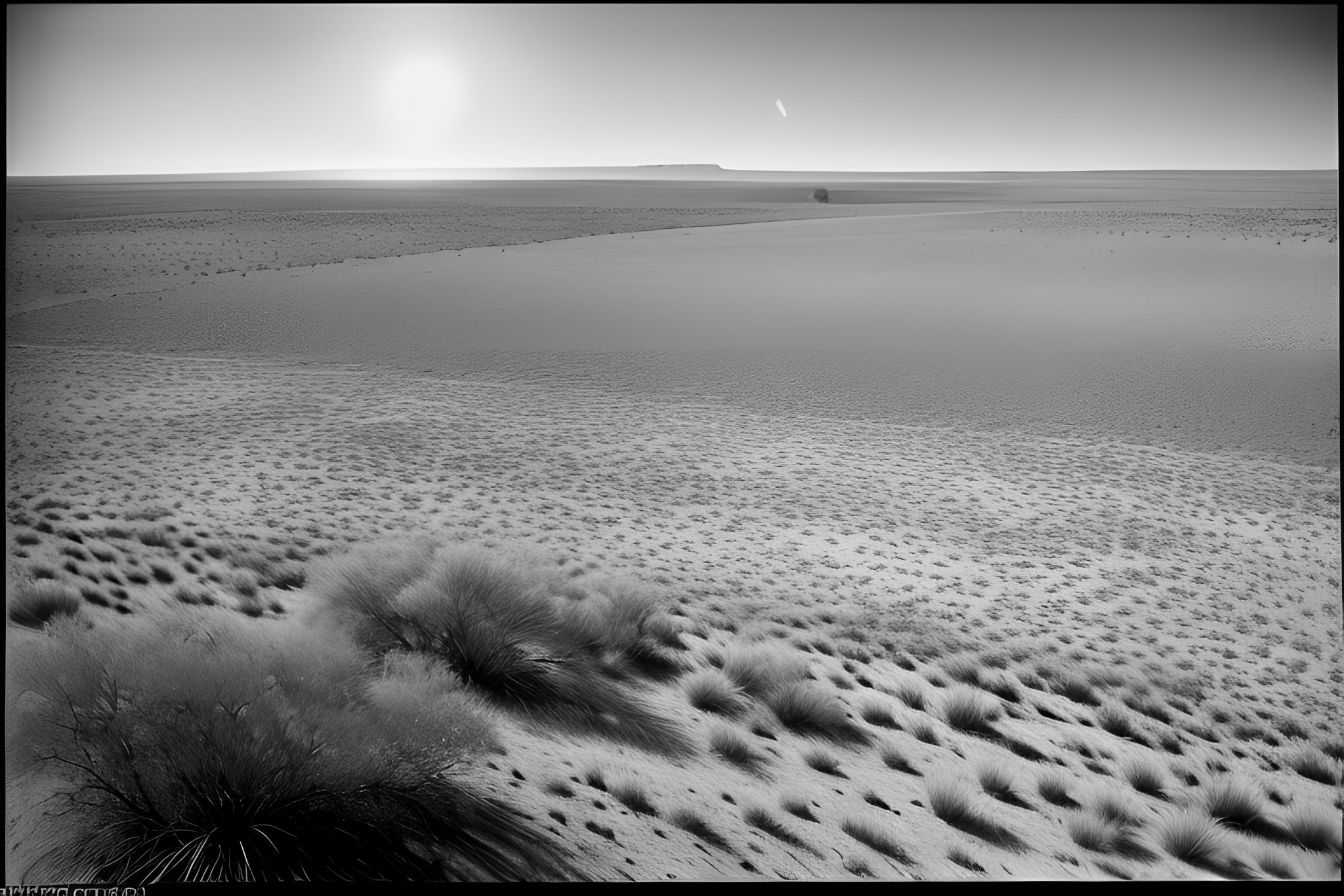 Porst-135-BC-black-white-photo-bnv