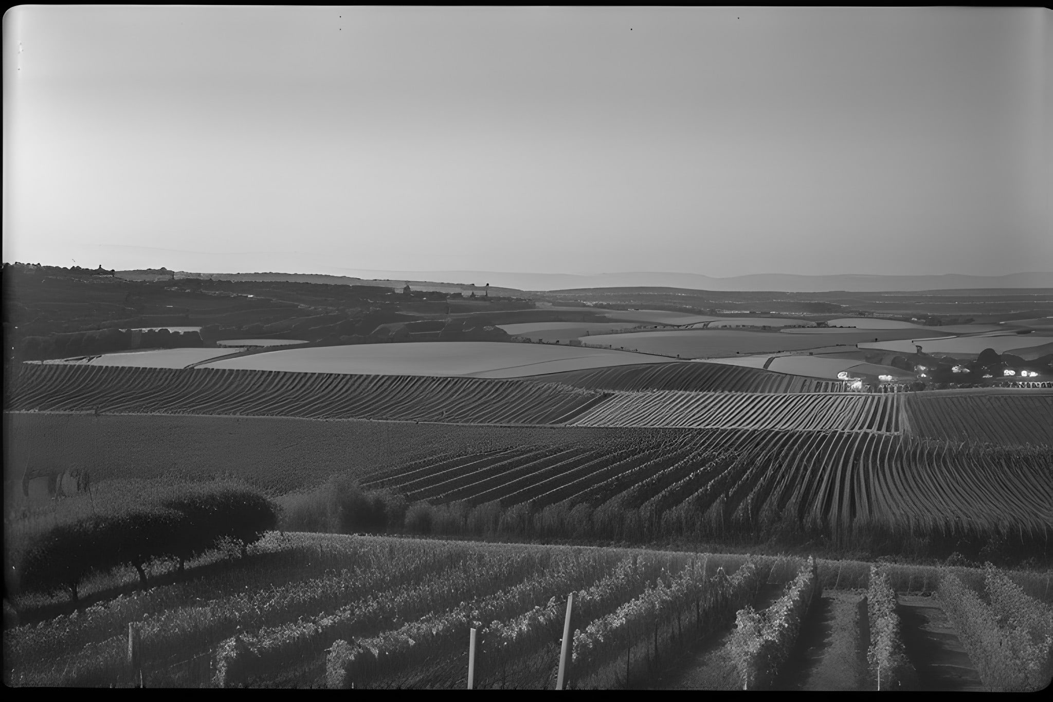 Porst-135-BCS-black-white-photo-bnv