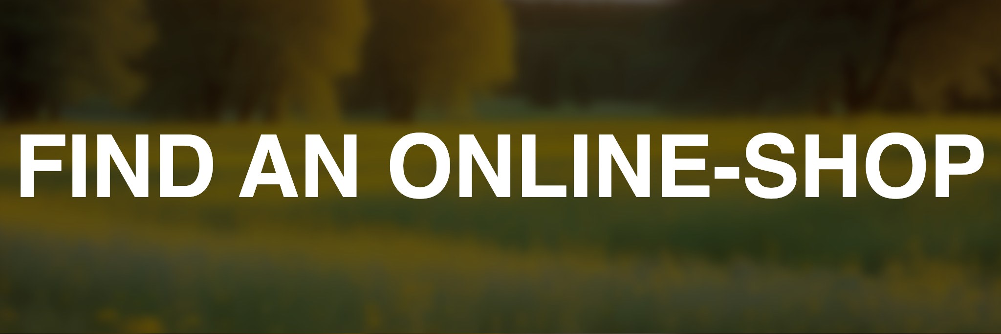 Revue-SC-5-auto-online-shop-bnv
