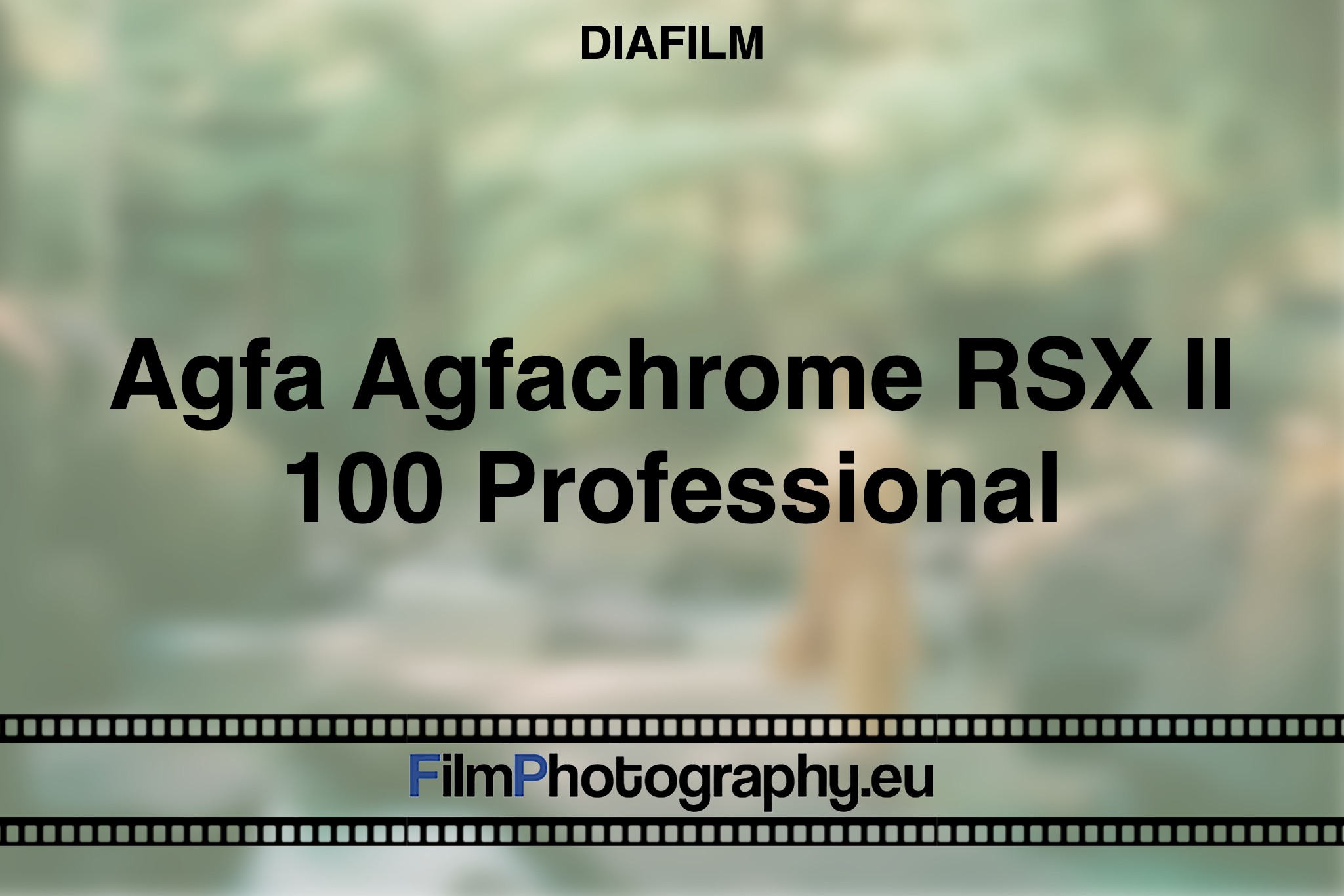 agfa-agfachrome-rsx-ii-100-professional-diafilm-bnv