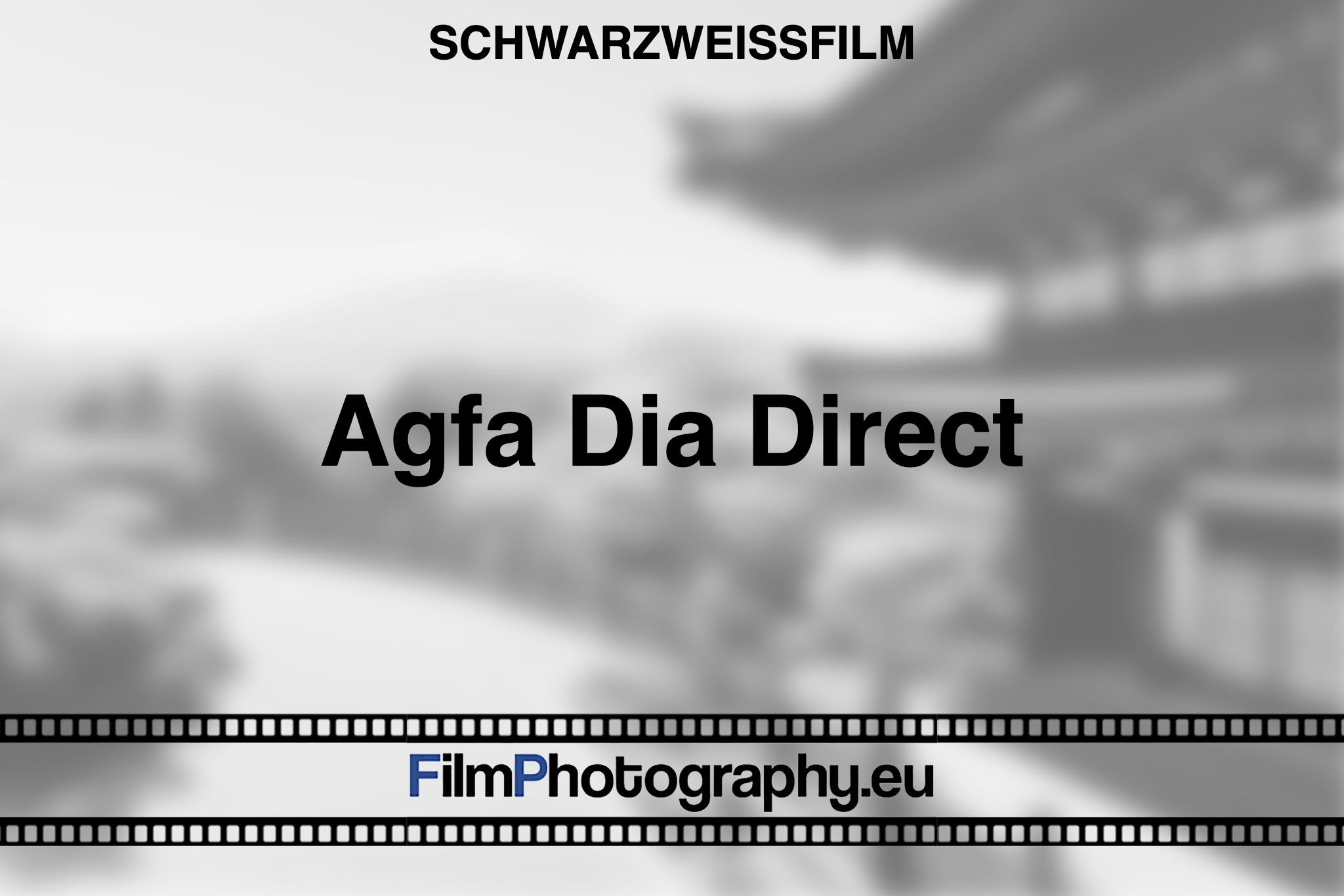agfa-dia-direct-schwarzweißfilm-bnv