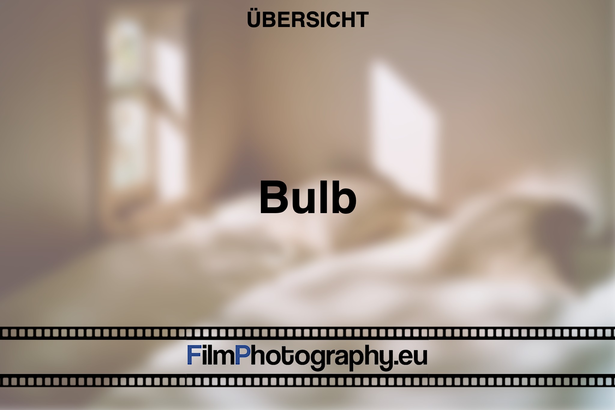 bulb-uebersicht-bnv