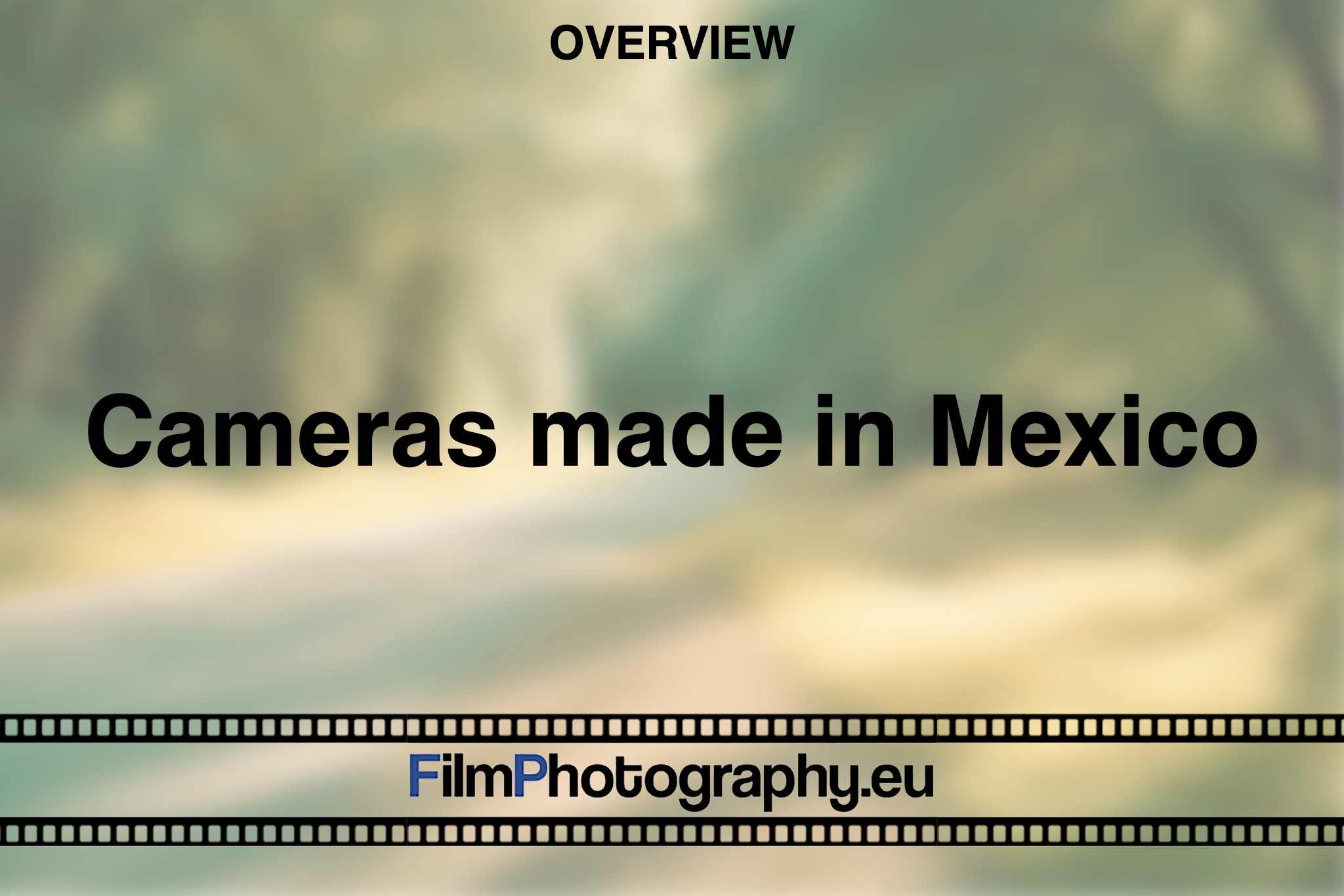 cameras-made-in-Mexico-production-factory-photo-bnv