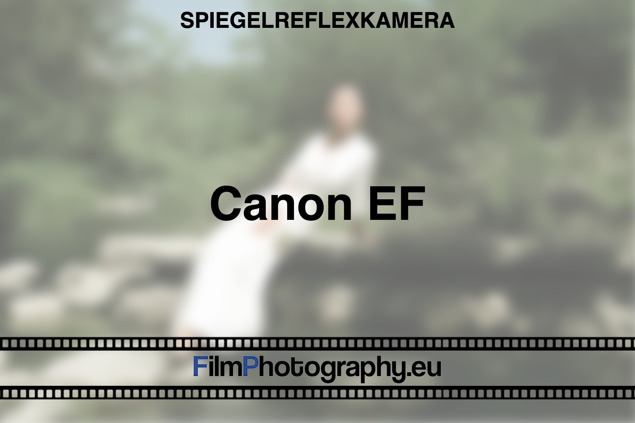 canon-ef-spiegelreflexkamera-bnv