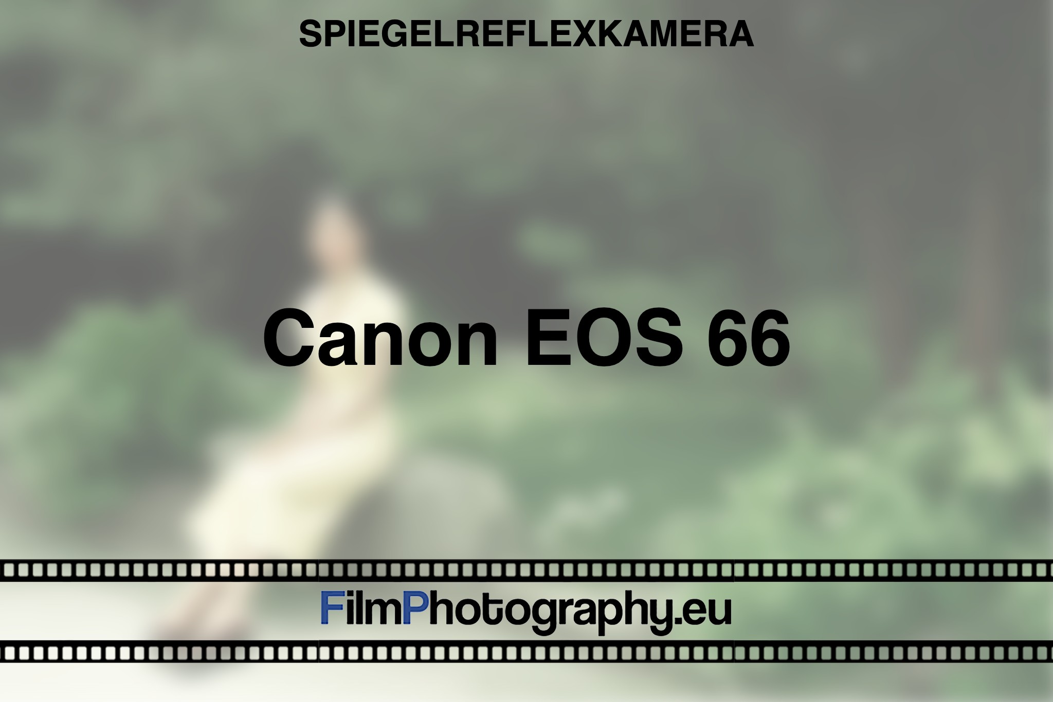 canon-eos-66-spiegelreflexkamera-bnv