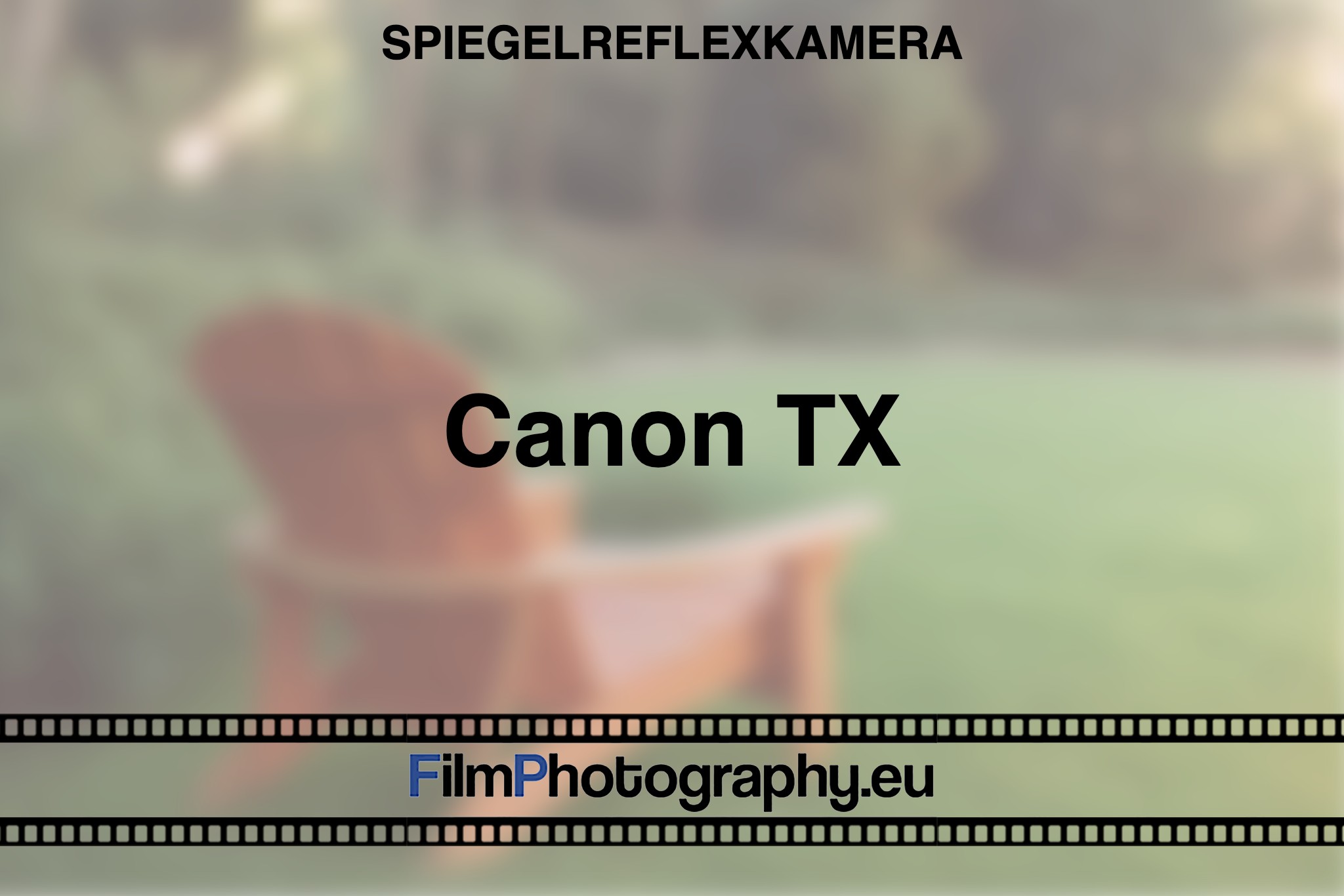 canon-tx-spiegelreflexkamera-bnv