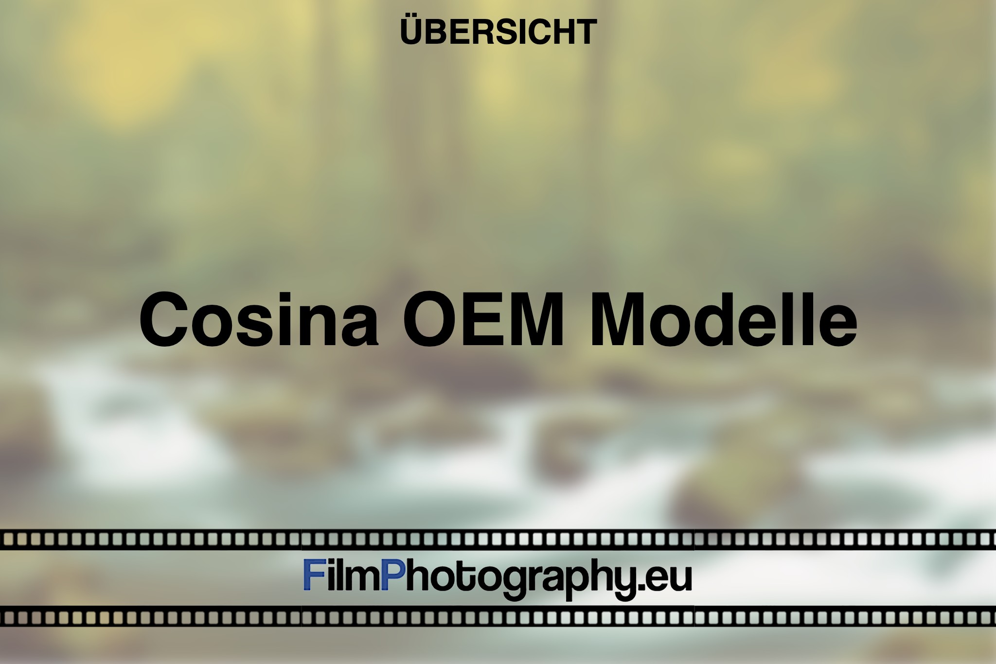 Cosina OEM models – Cameras overview