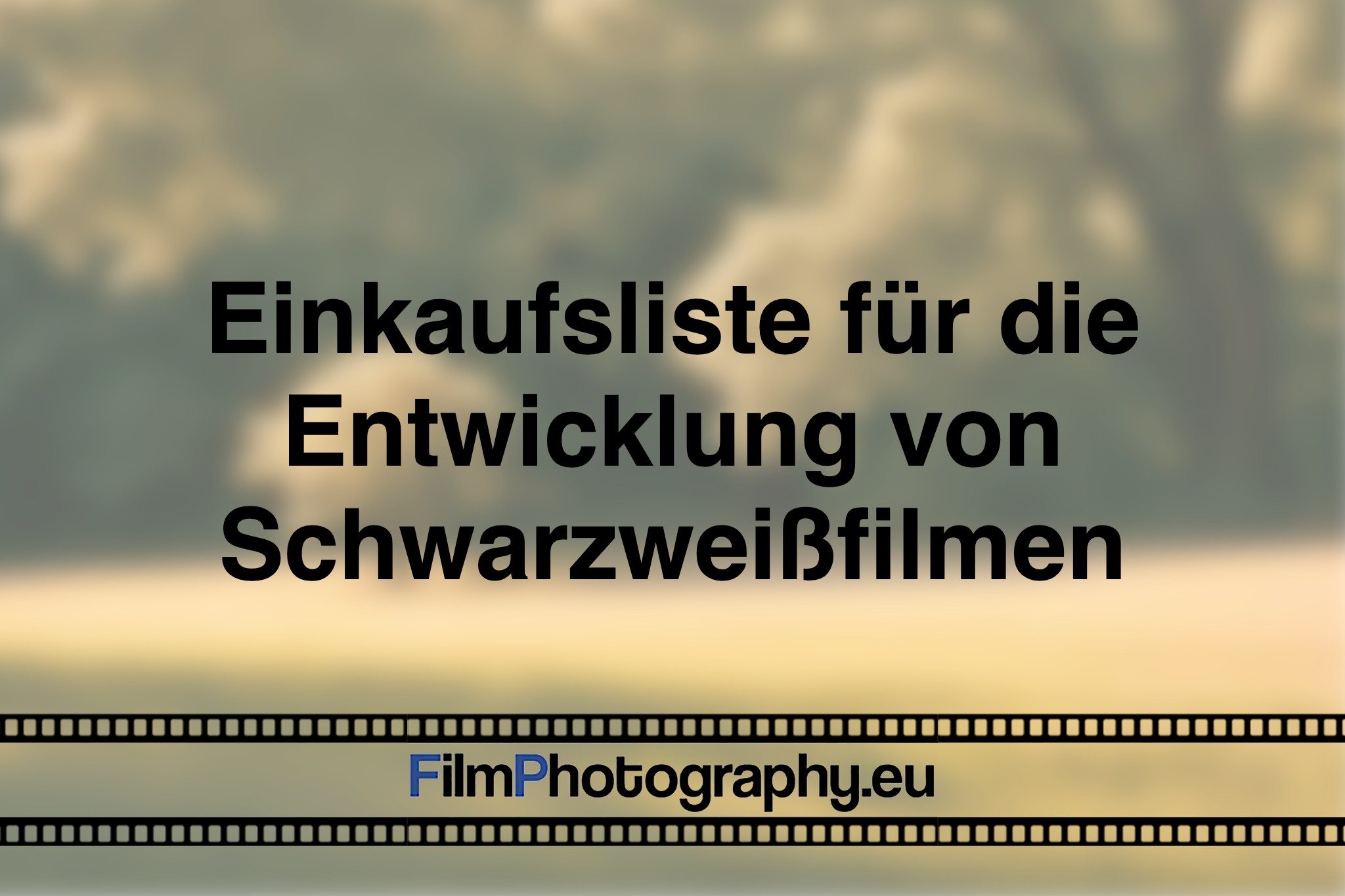 einkaufsliste-fuer-die-entwicklung-von-schwarzweißfilmen-photo-bnv