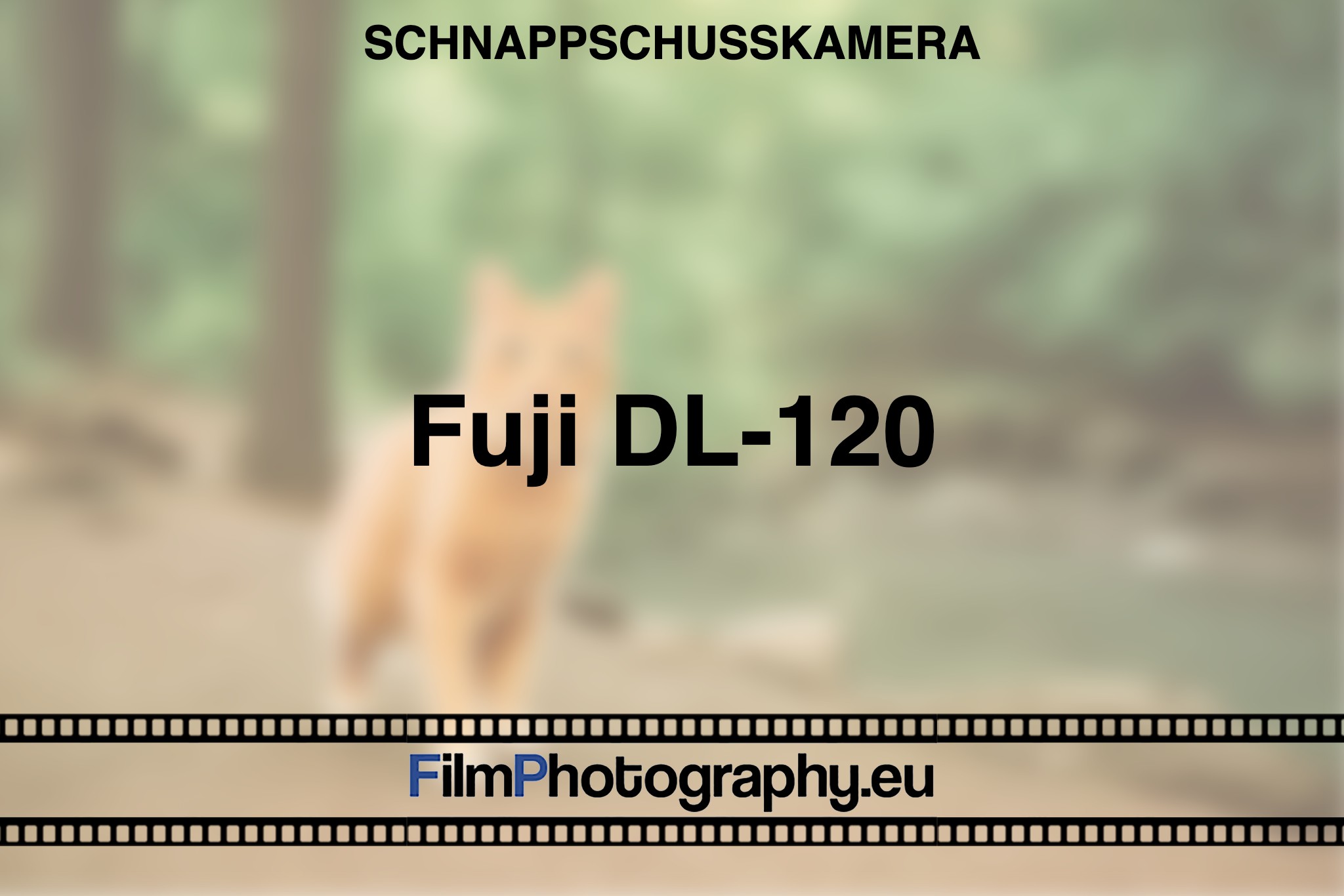 fuji-dl-120-schnappschusskamera-bnv