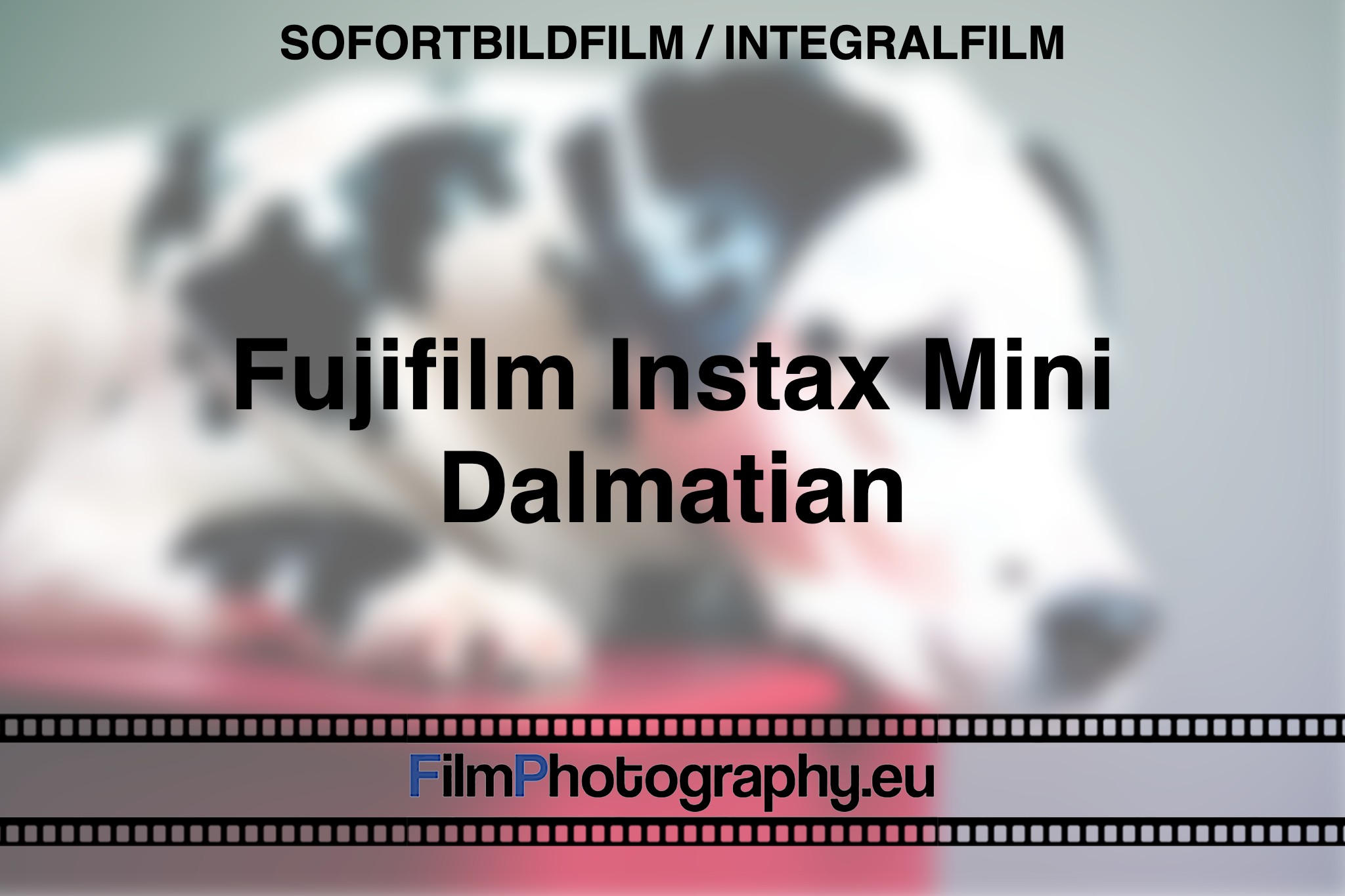 fujifilm-instax-mini-dalmatian-sofortbildfilm-integralfilm-fp-bnv