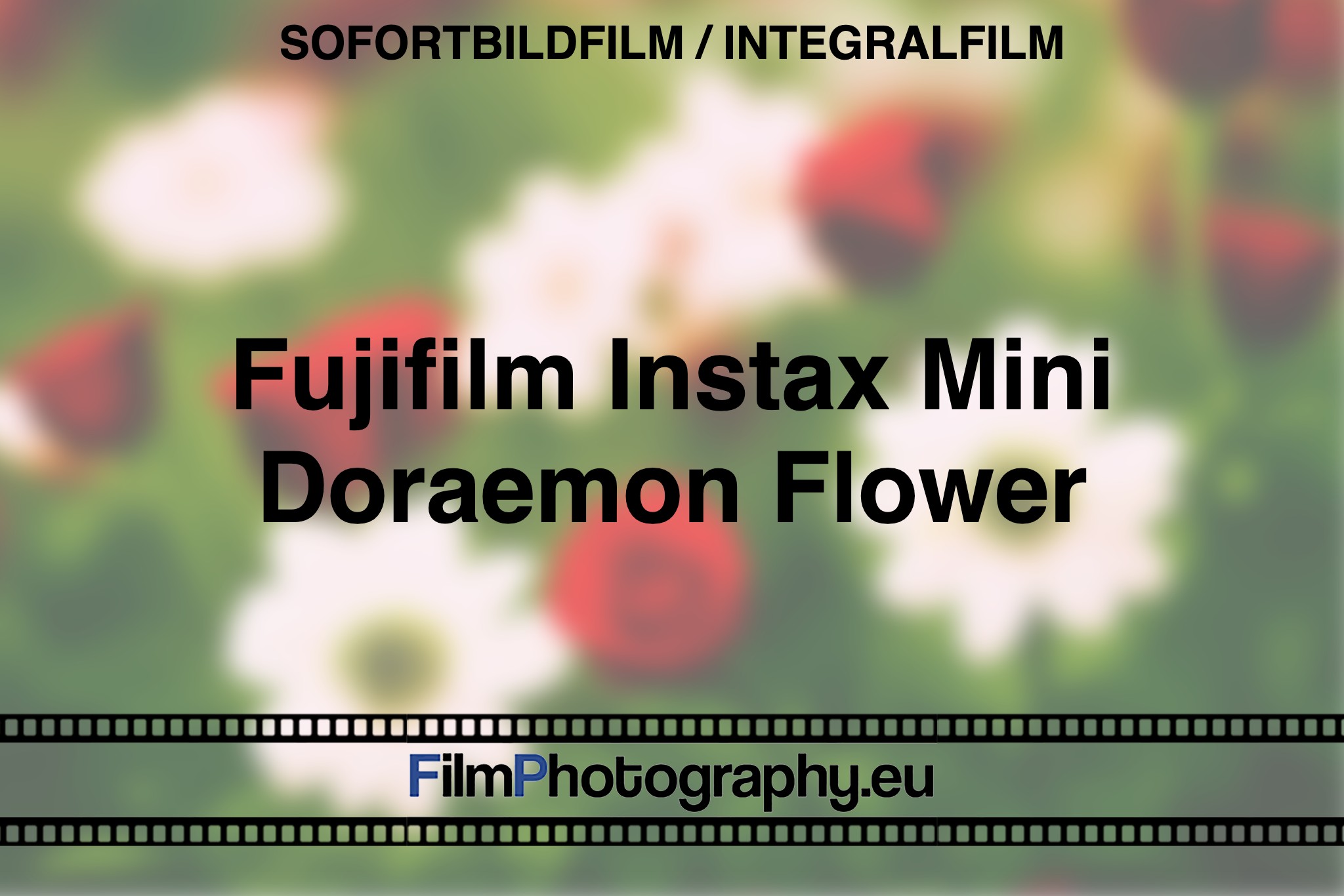 fujifilm-instax-mini-doraemon-flower-sofortbildfilm-integralfilm-fp-bnv
