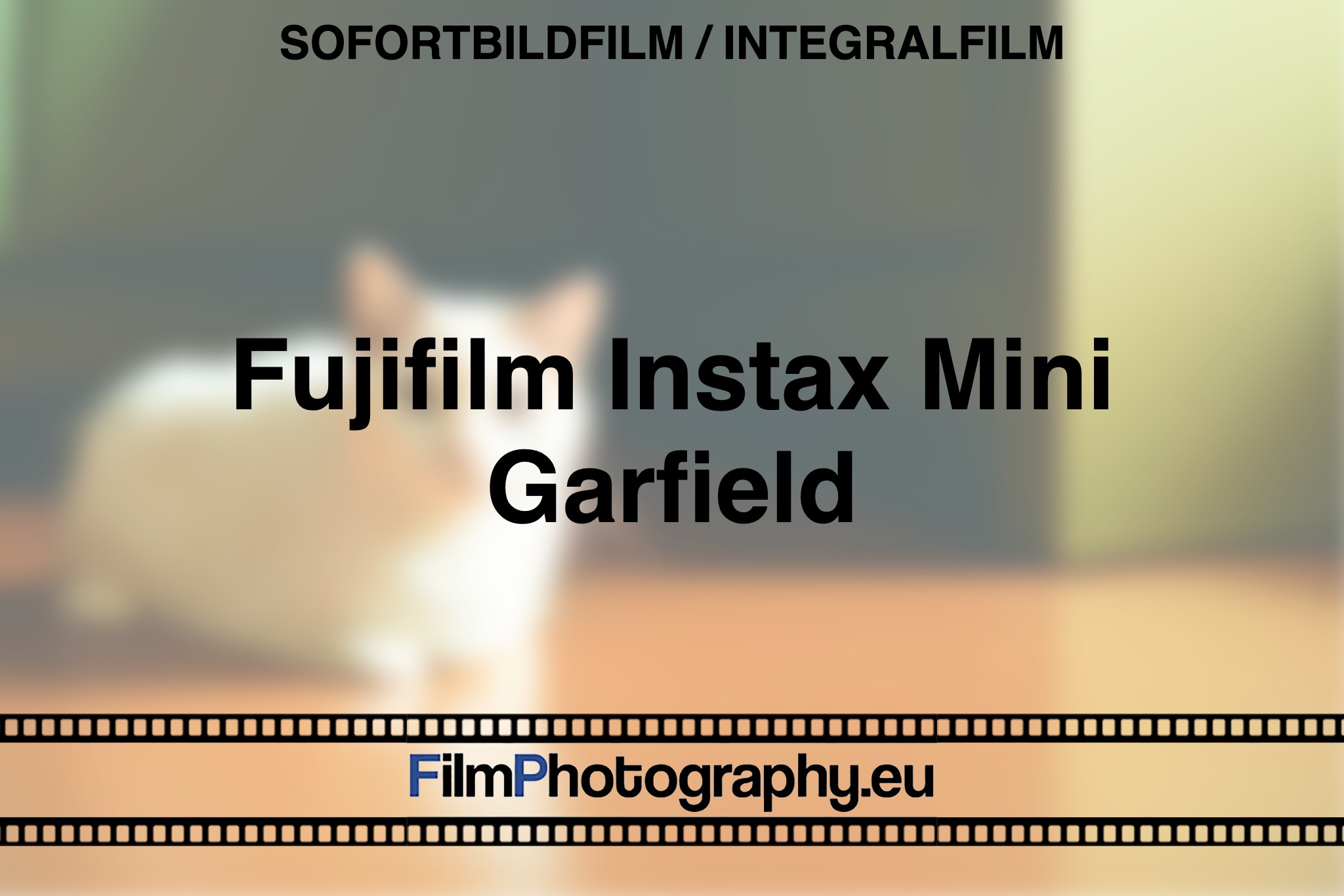 fujifilm-instax-mini-garfield-sofortbildfilm-integralfilm-fp-bnv