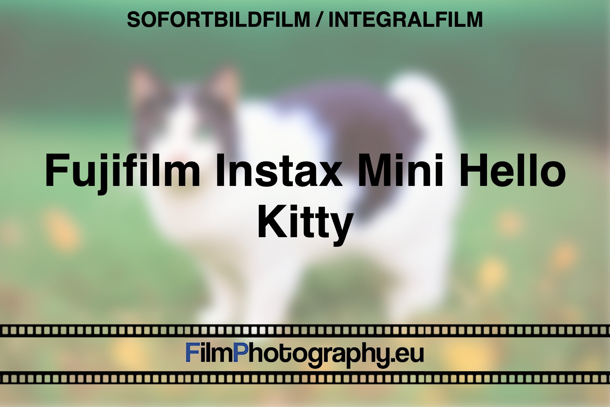 fujifilm-instax-mini-hello-kitty-sofortbildfilm-integralfilm-fp-bnv
