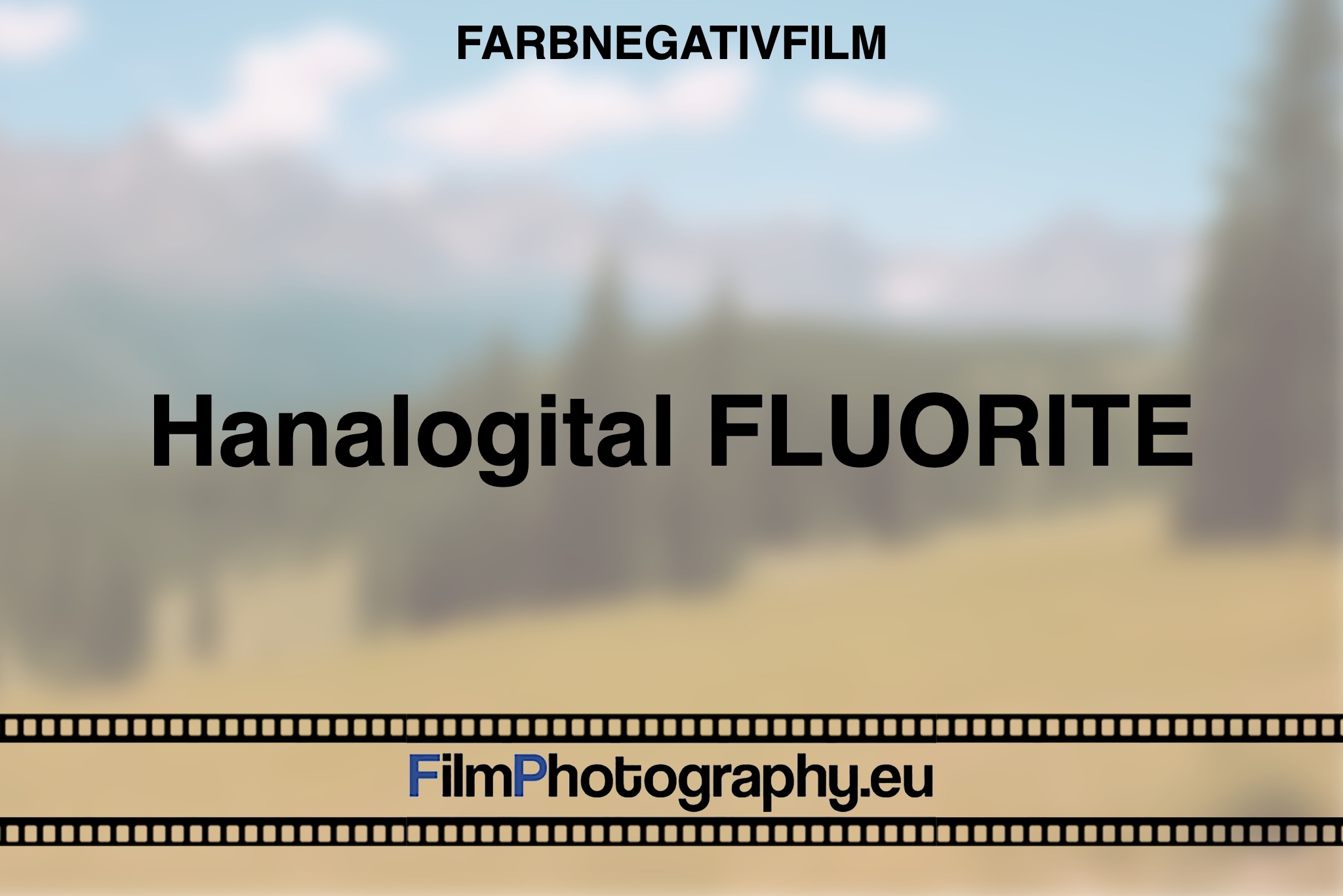 hanalogital-fluorite-farbnegativfilm-bnv