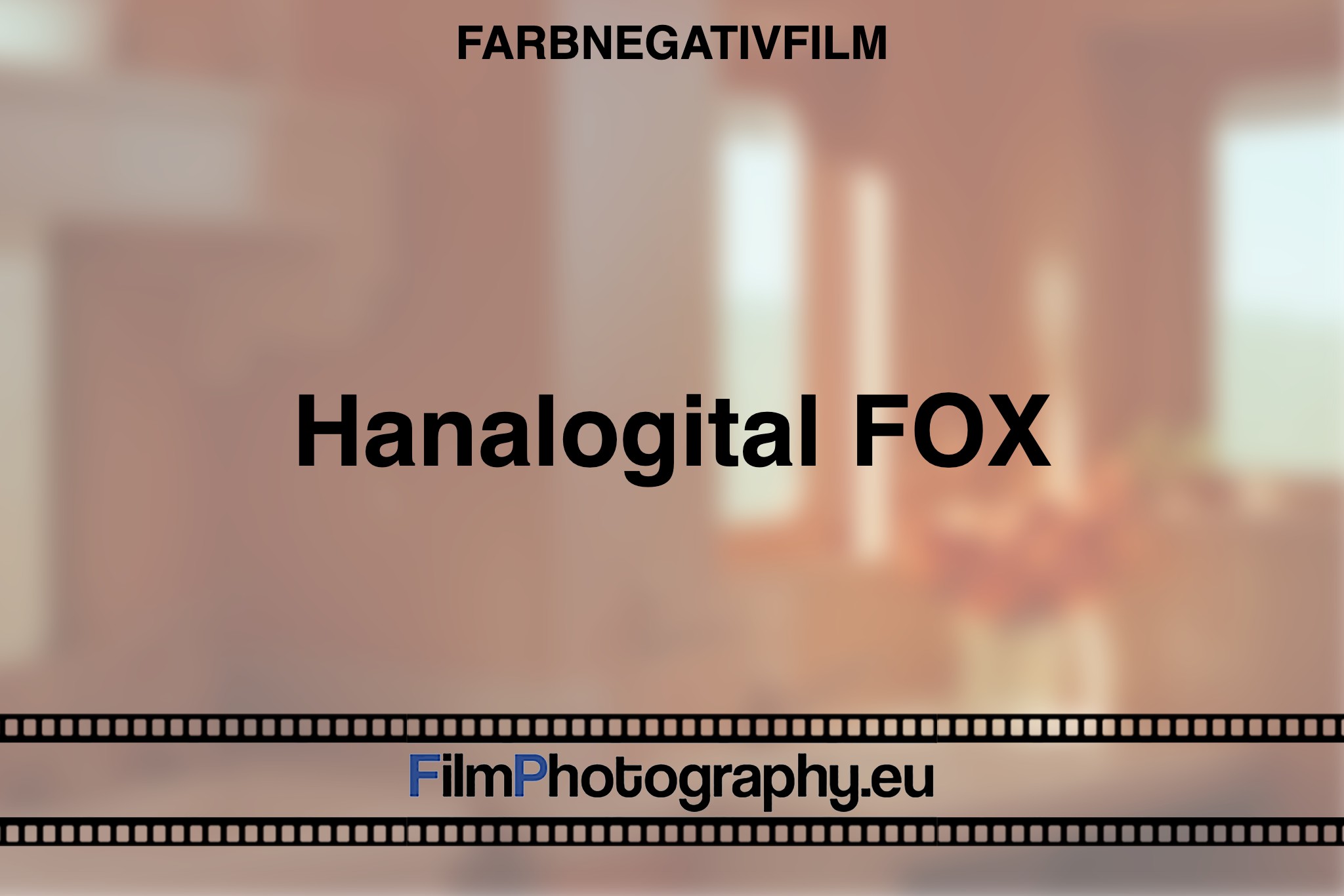 hanalogital-fox-farbnegativfilm-bnv
