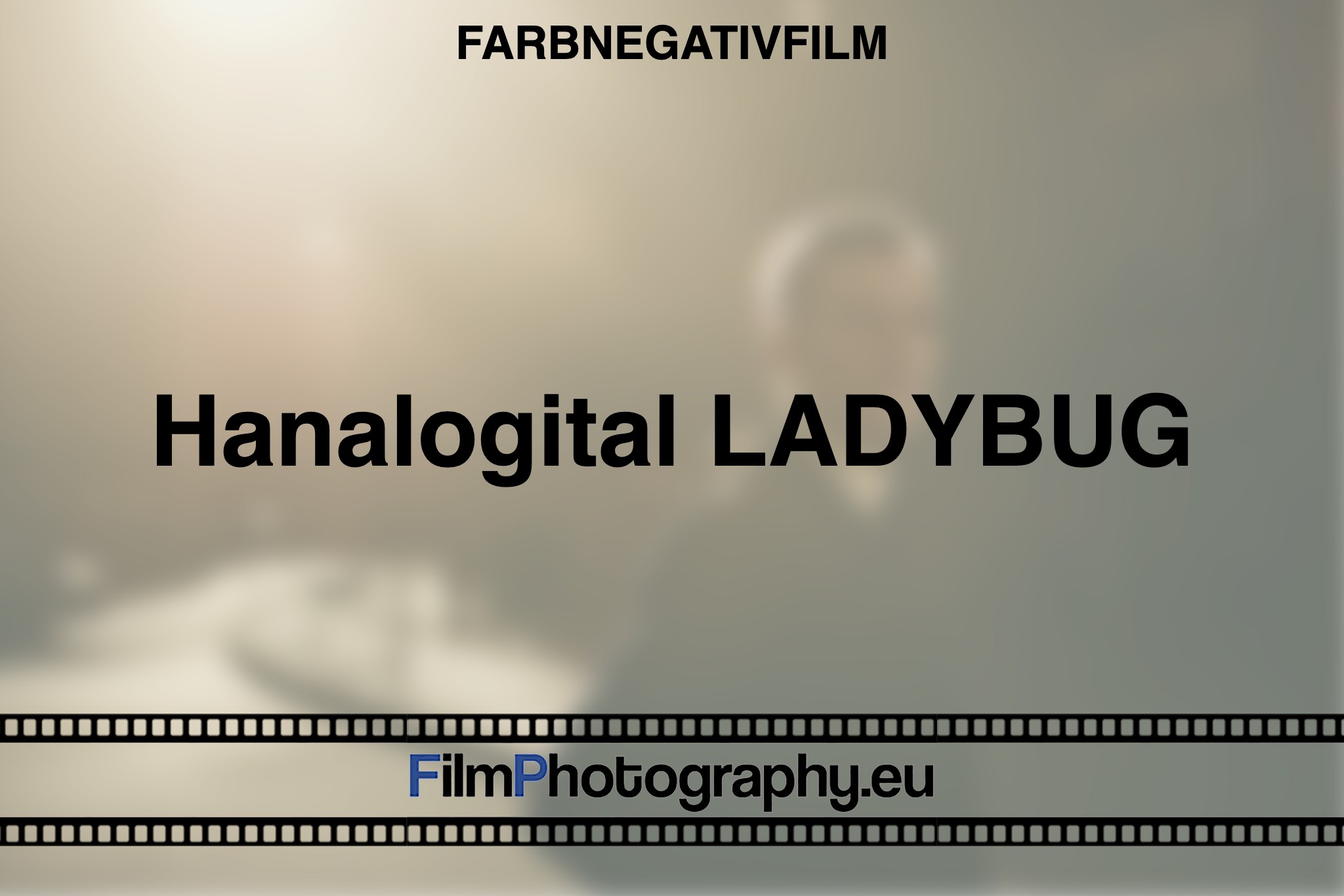 hanalogital-ladybug-farbnegativfilm-bnv