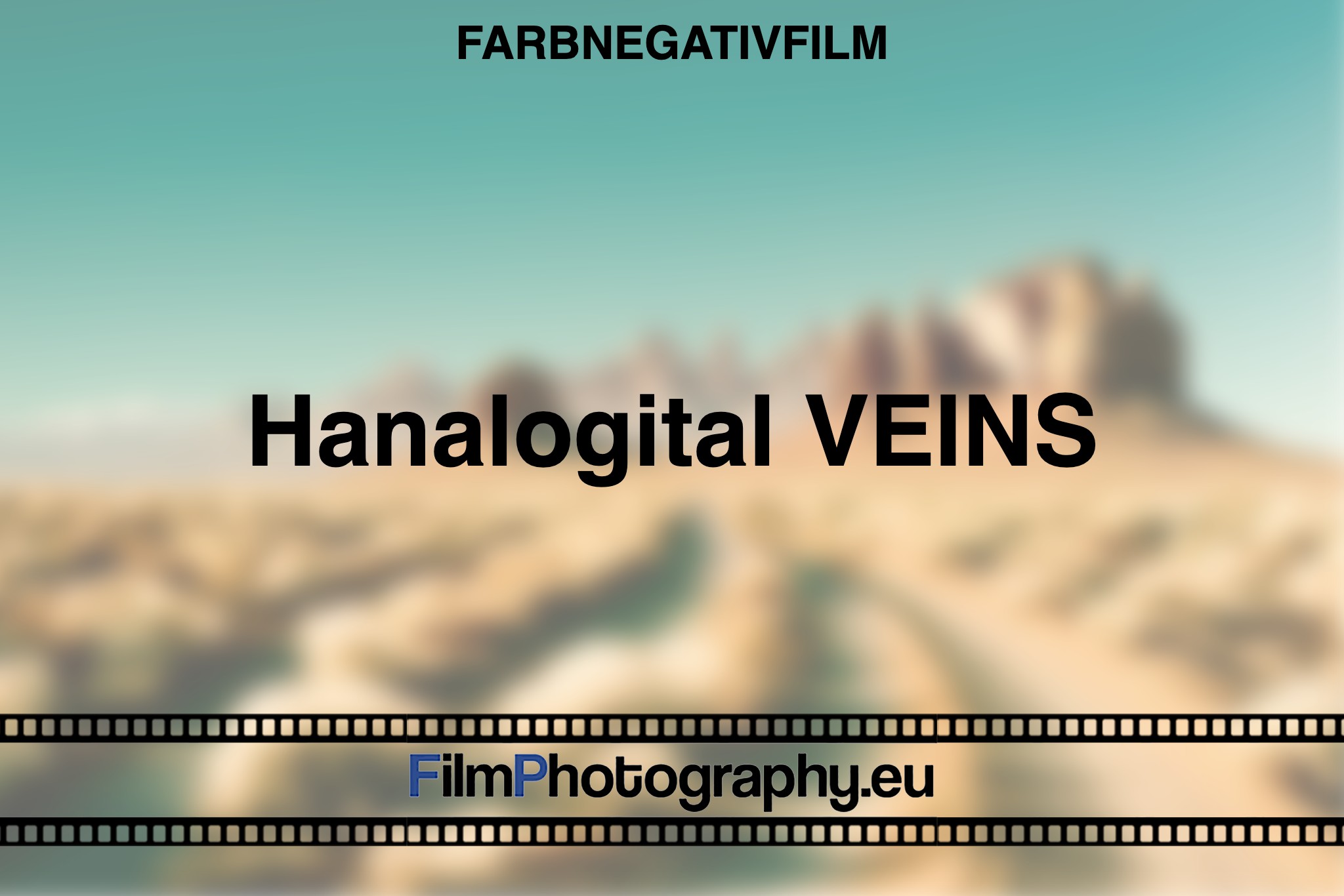 hanalogital-veins-farbnegativfilm-bnv