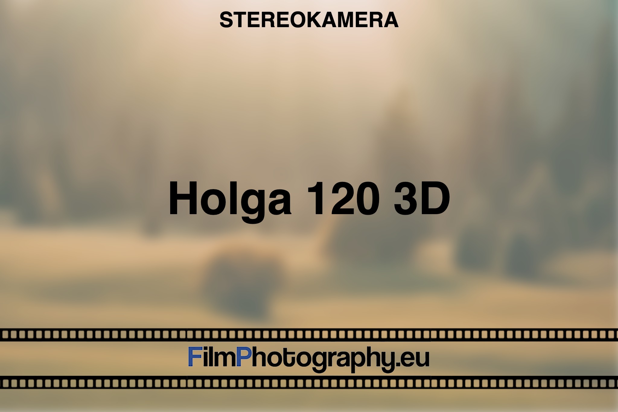 holga-120-3d-stereokamera-bnv