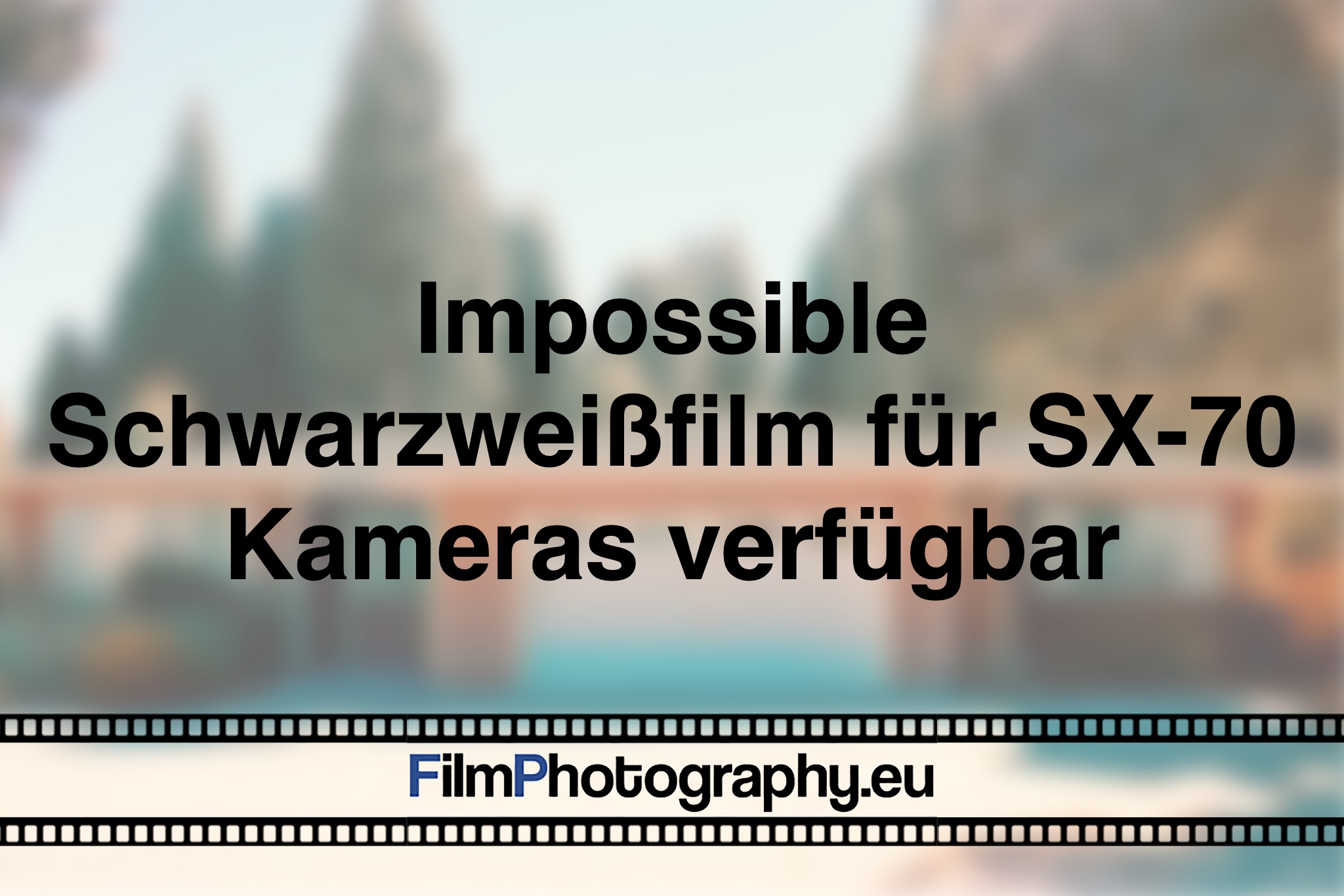 impossible-schwarzweißfilm-fuer-sx-70-kameras-verfuegbar-photo-bnv