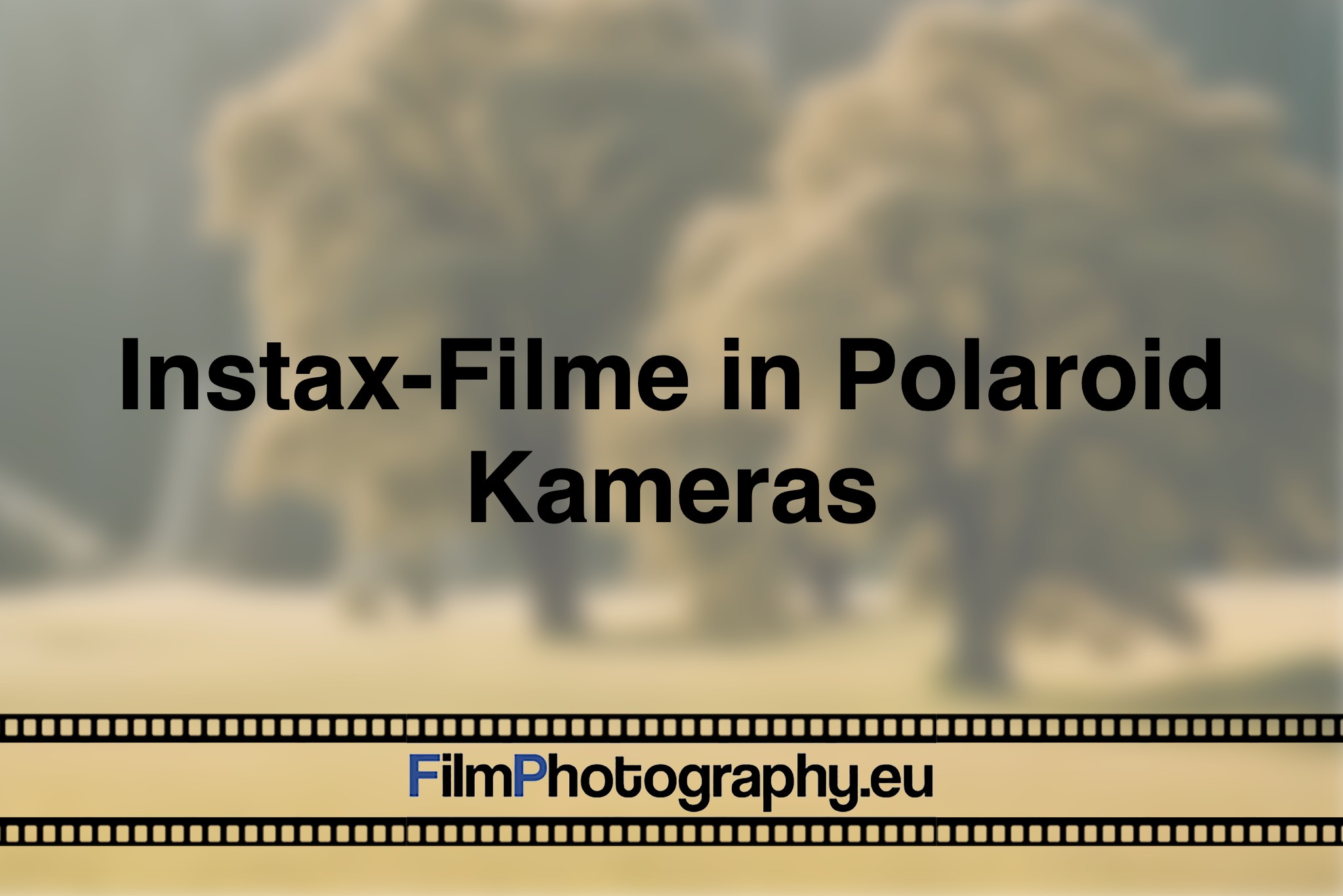 instax-filme-in-polaroid-kameras-photo-bnv