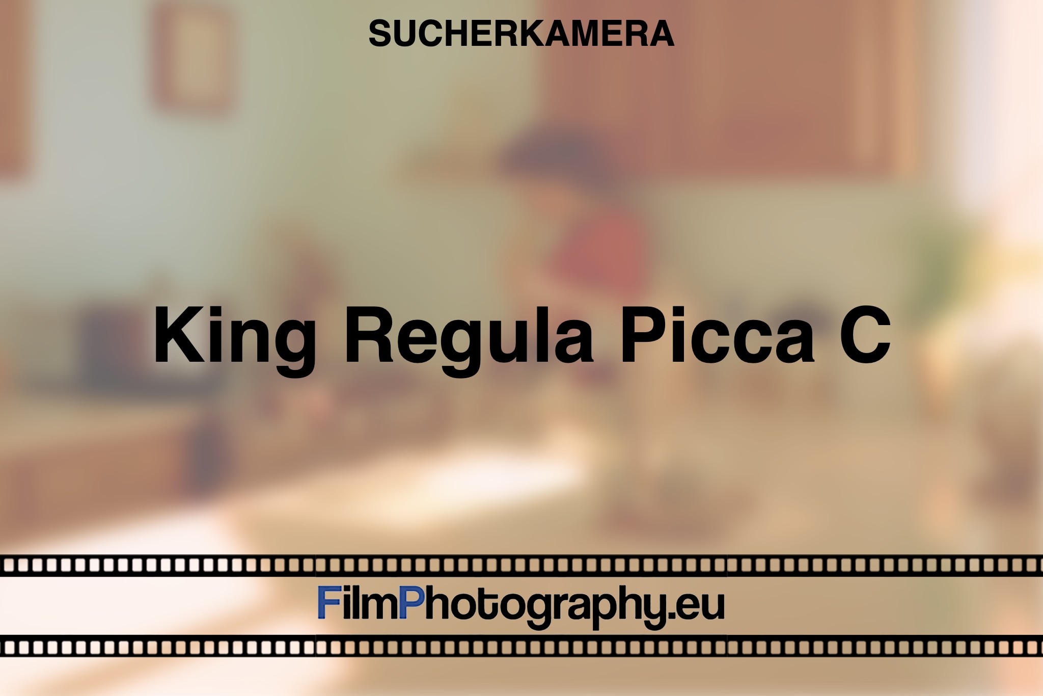 king-regula-picca-c-sucherkamera-bnv