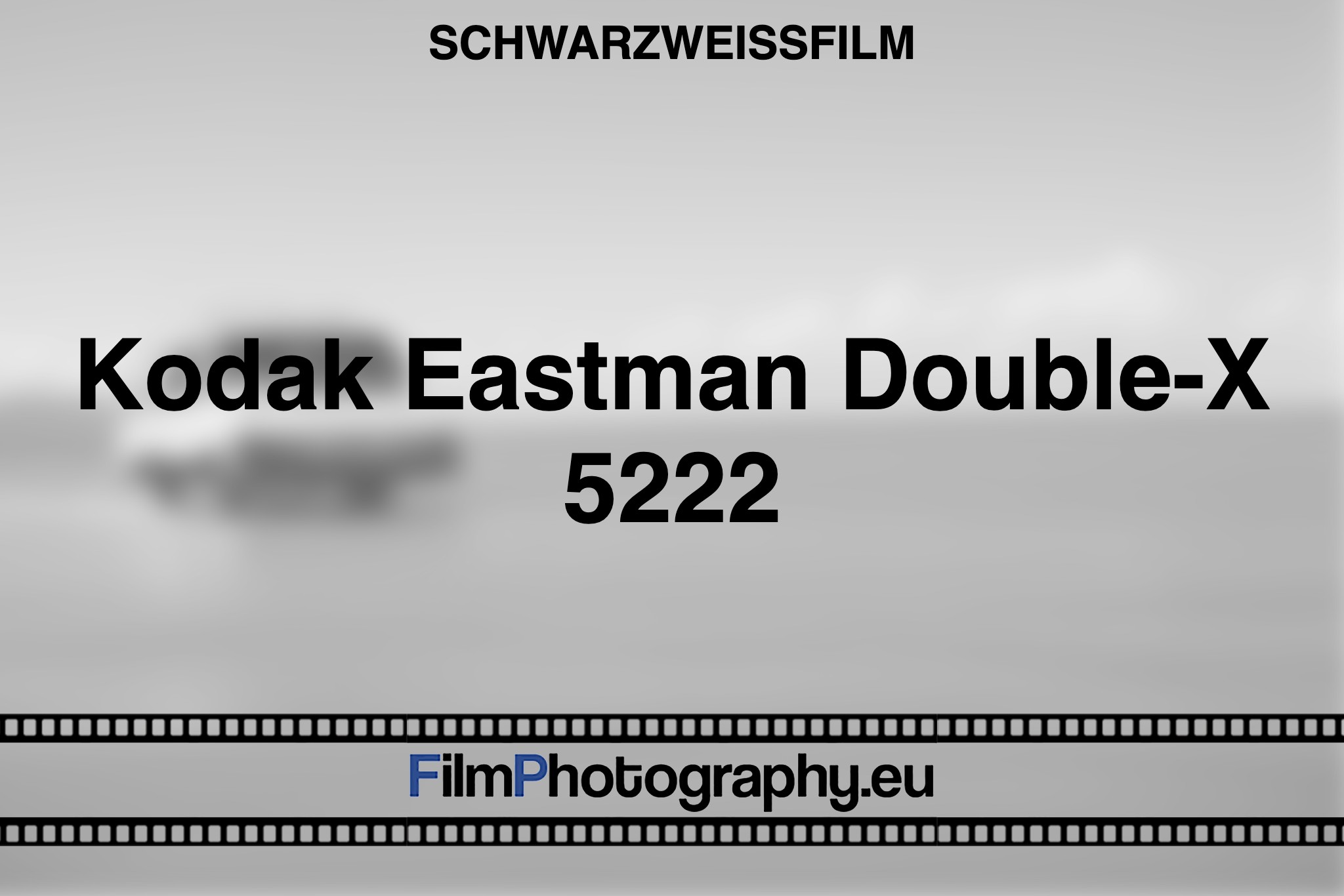 kodak-eastman-double-x-5222-schwarzweißfilm-bnv