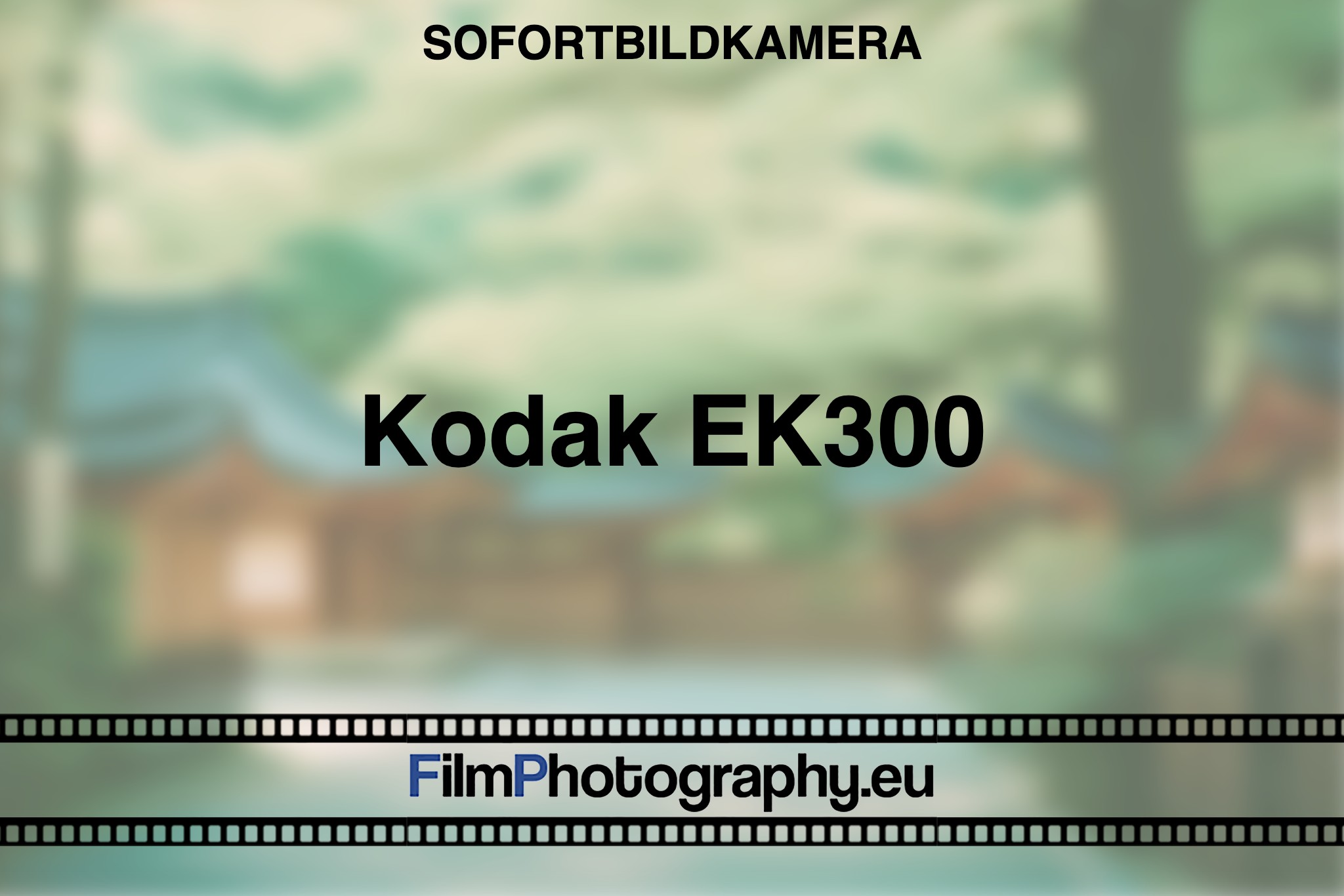 kodak-ek300-sofortbildkamera-bnv
