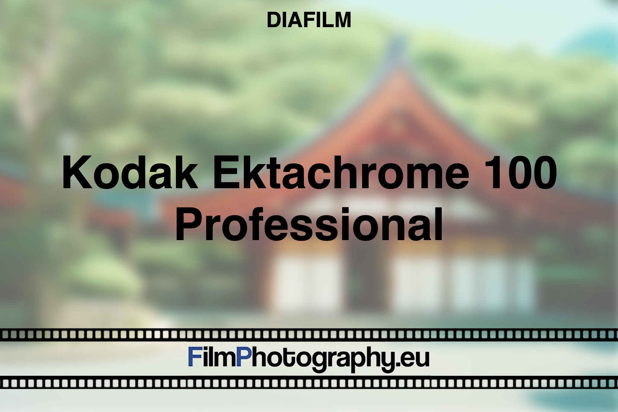 kodak-ektachrome-100-professional-diafilm-bnv
