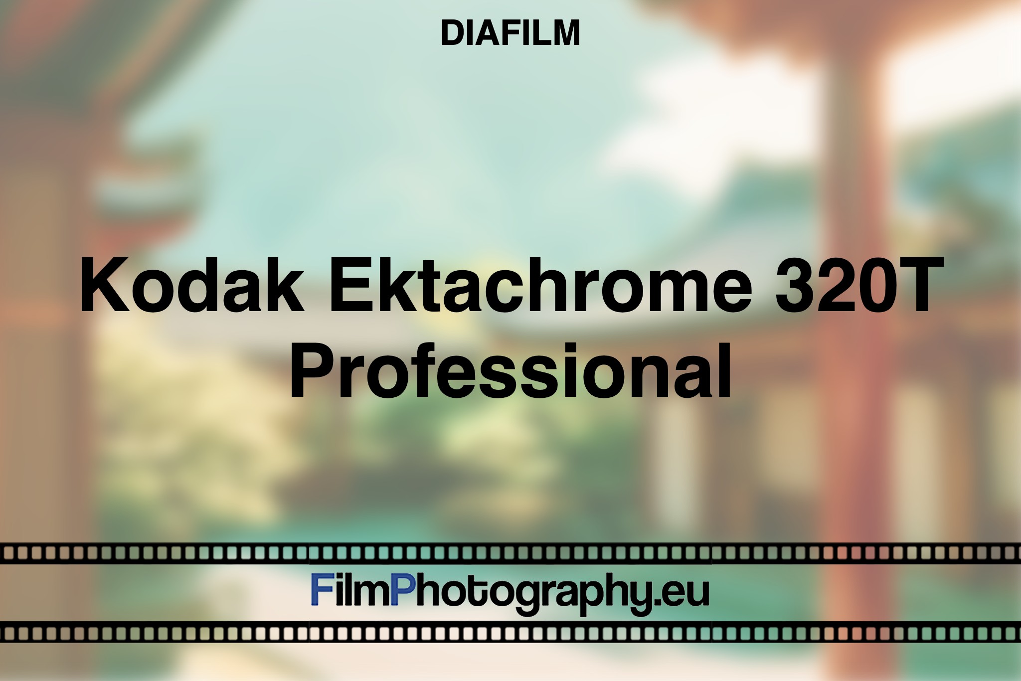 kodak-ektachrome-320t-professional-diafilm-bnv