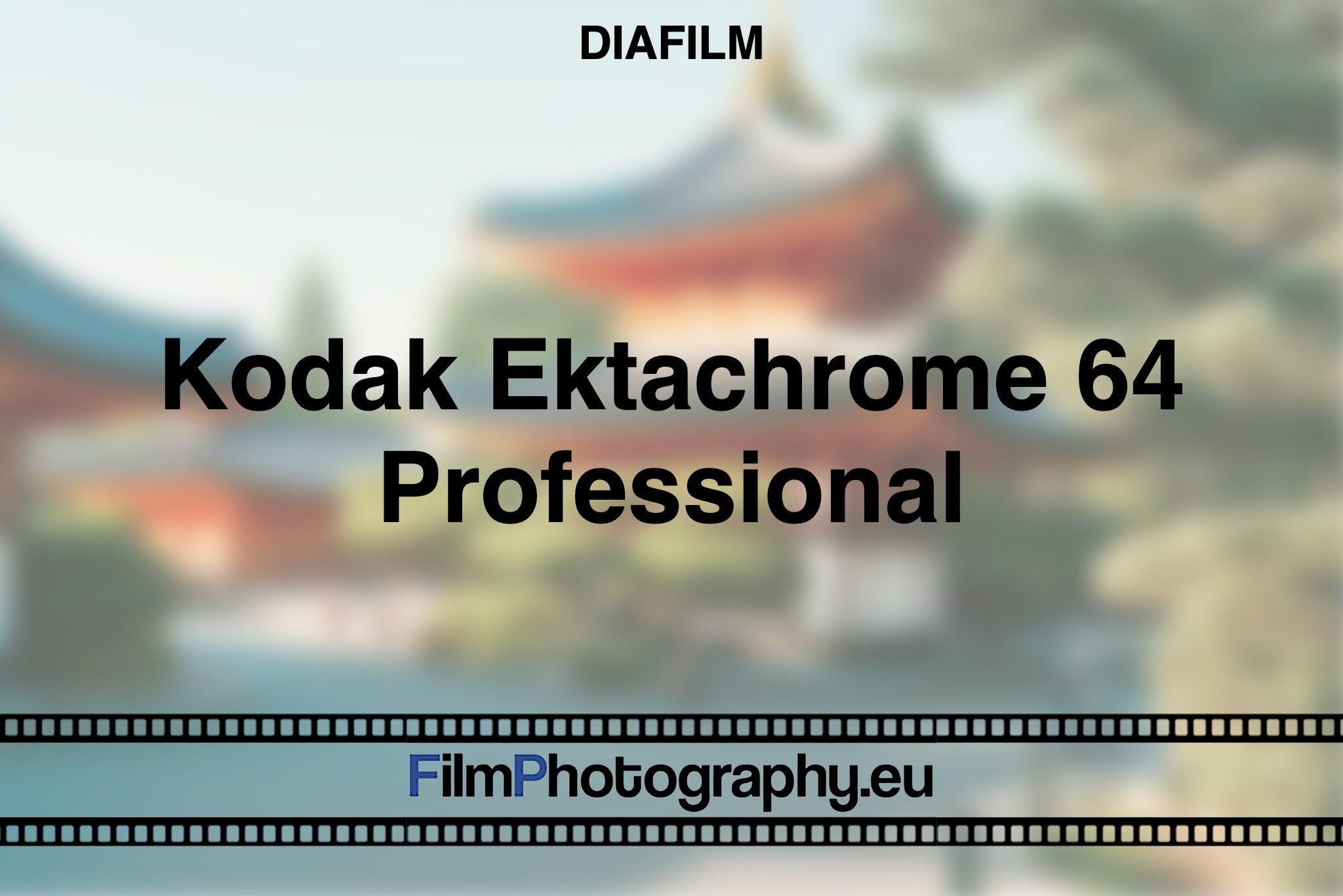 kodak-ektachrome-64-professional-diafilm-bnv