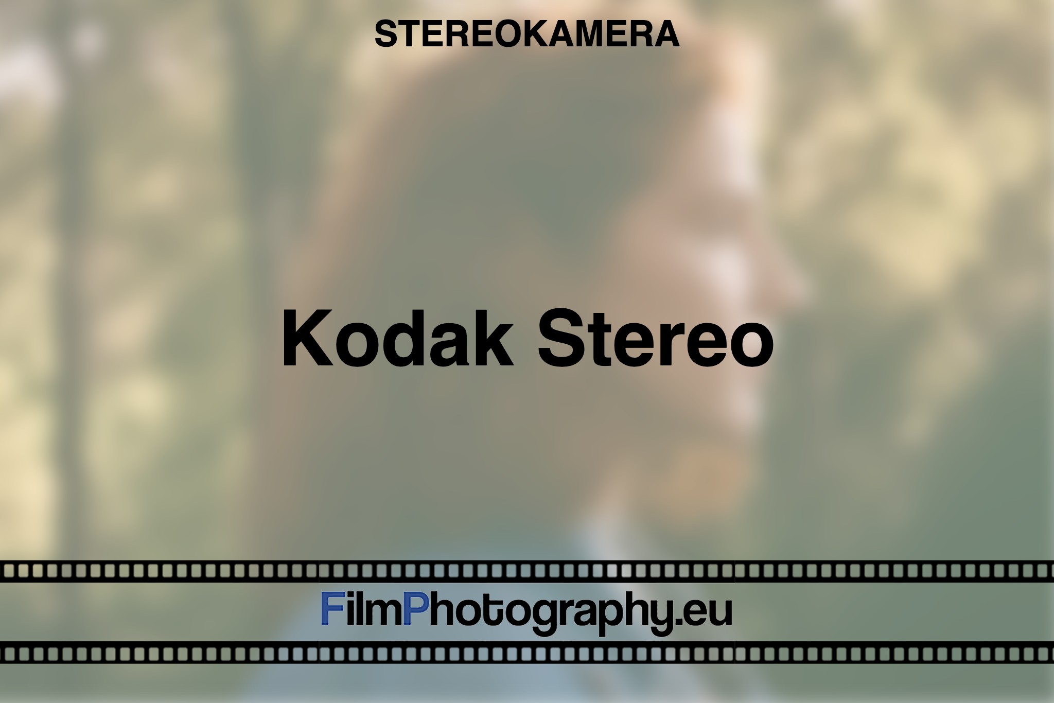 kodak-stereo-stereokamera-bnv