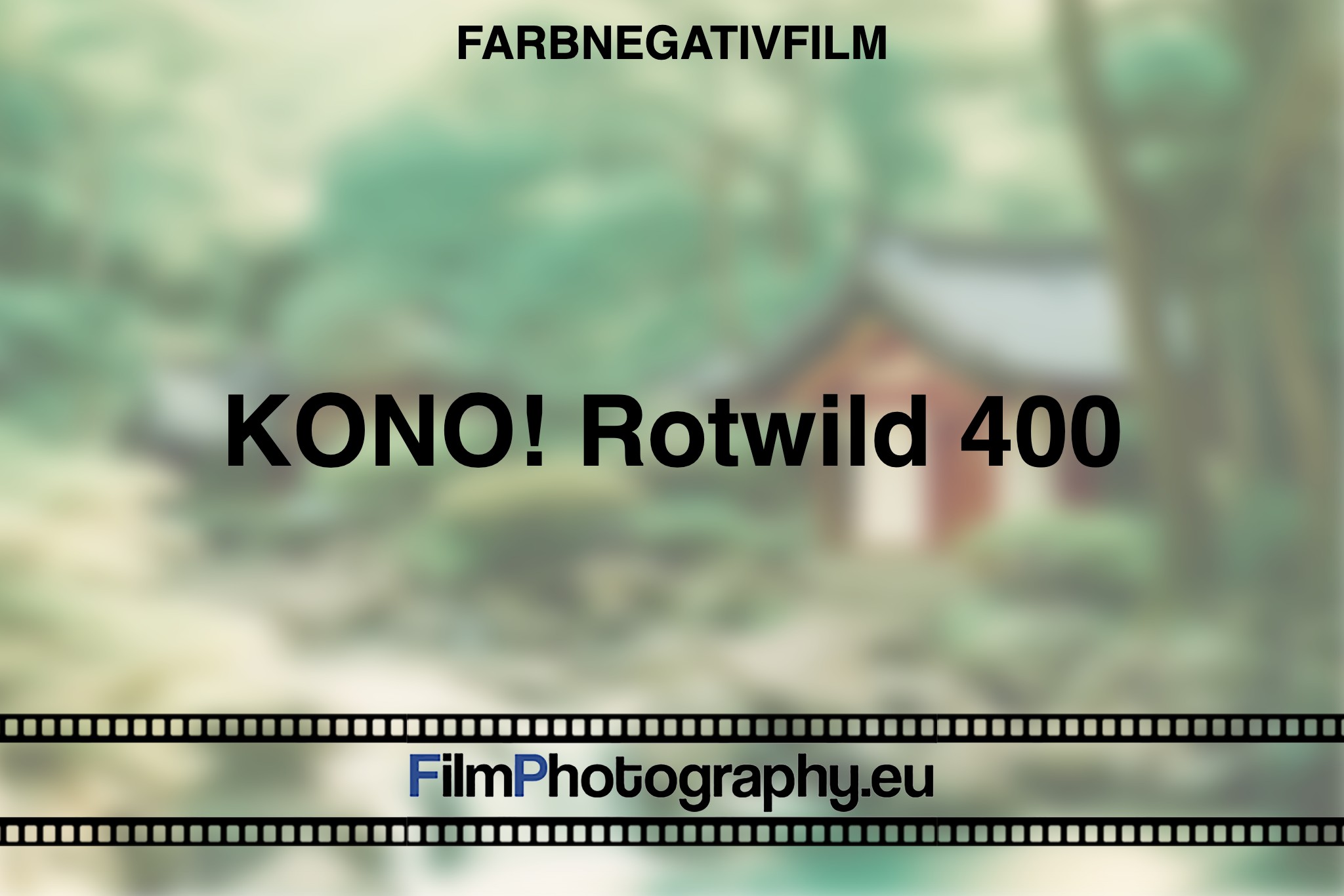 kono-rotwild-400-farbnegativfilm-bnv