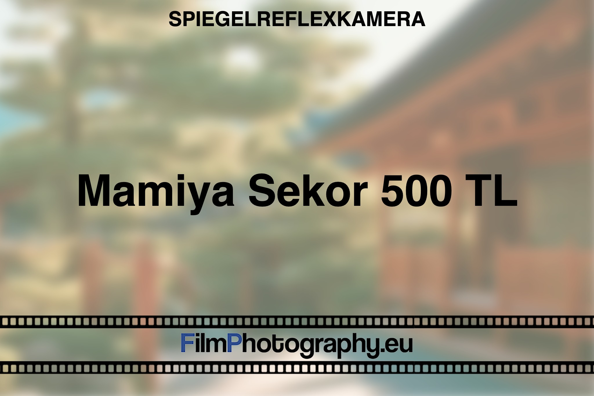 mamiya-sekor-500-tl-spiegelreflexkamera-bnv