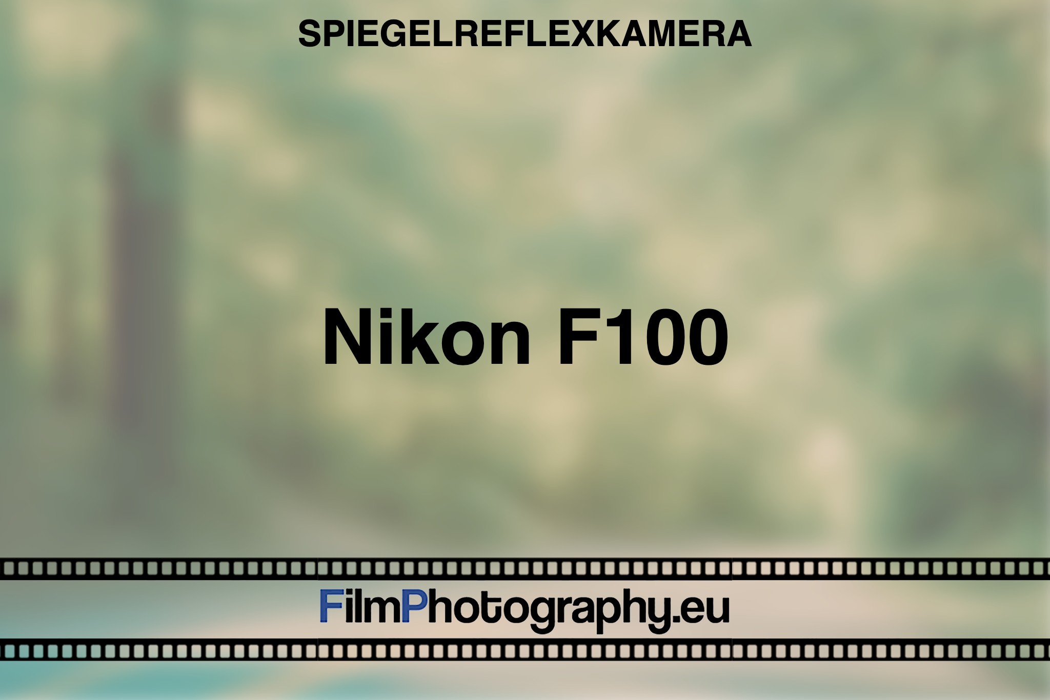 nikon-f100-spiegelreflexkamera-bnv