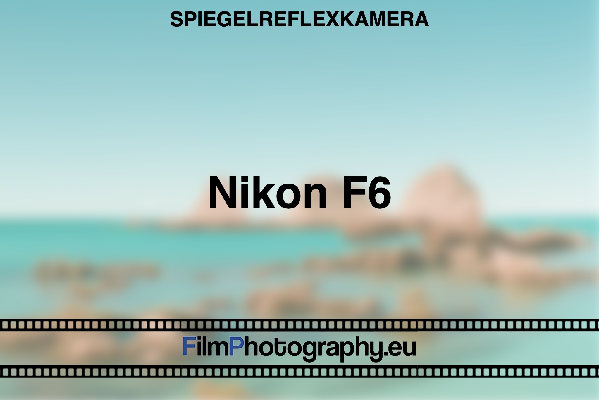 nikon-f6-spiegelreflexkamera-bnv