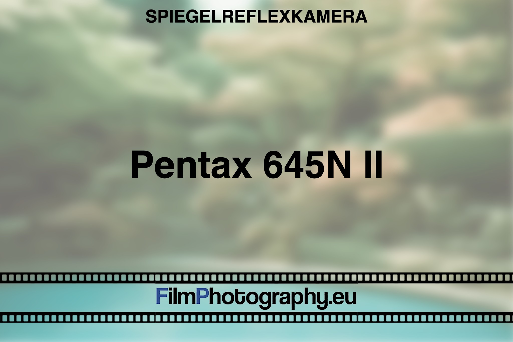 pentax-645n-ii-spiegelreflexkamera-bnv