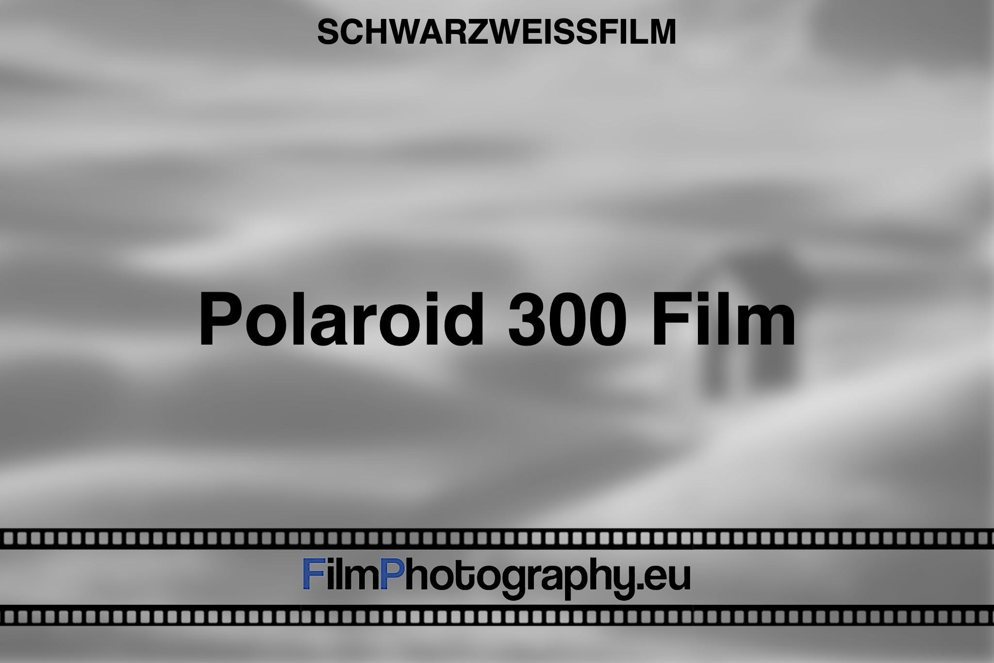polaroid-300-film-schwarzweißfilm-bnv