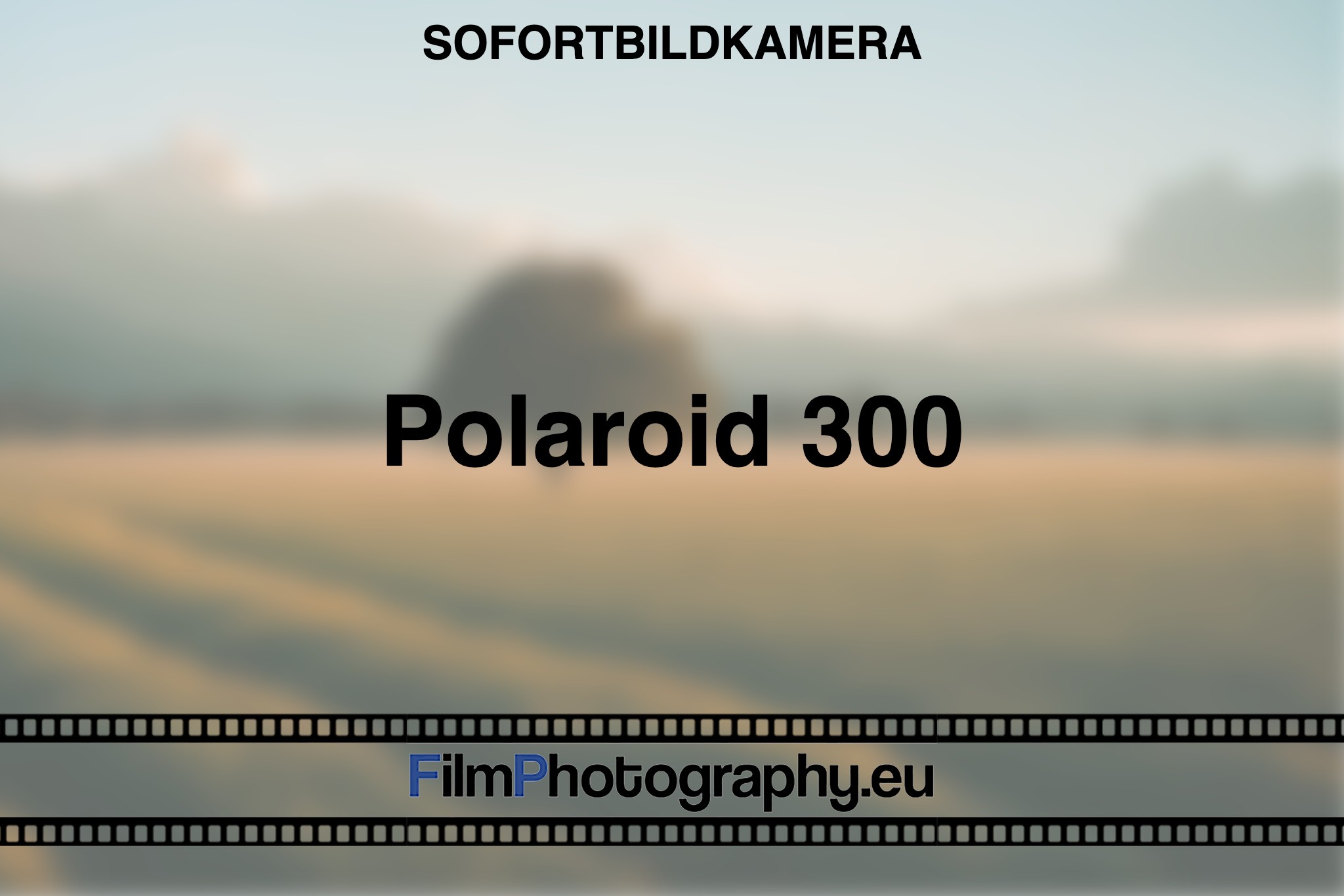 polaroid-300-sofortbildkamera-bnv