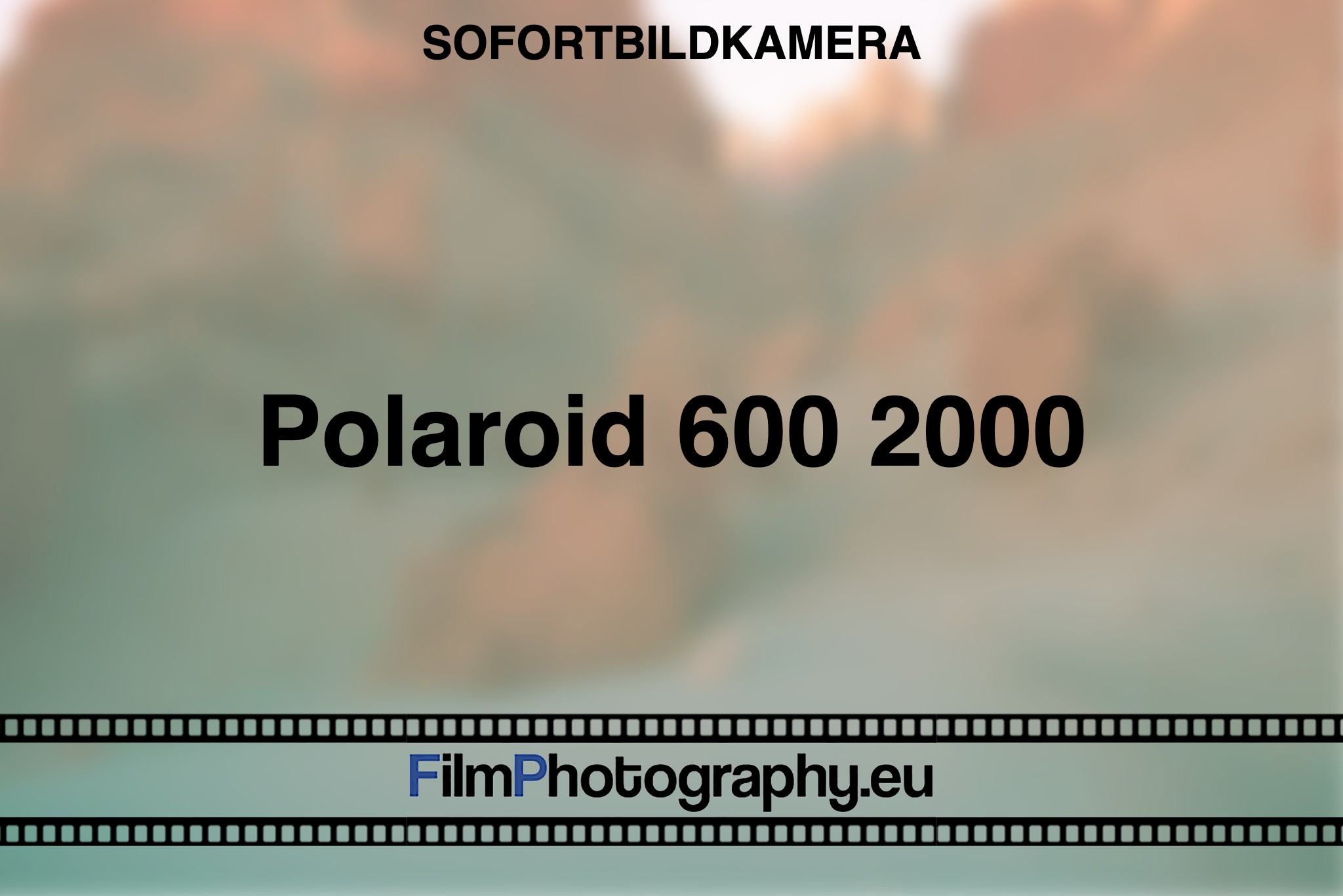 polaroid-600-2000-sofortbildkamera-bnv