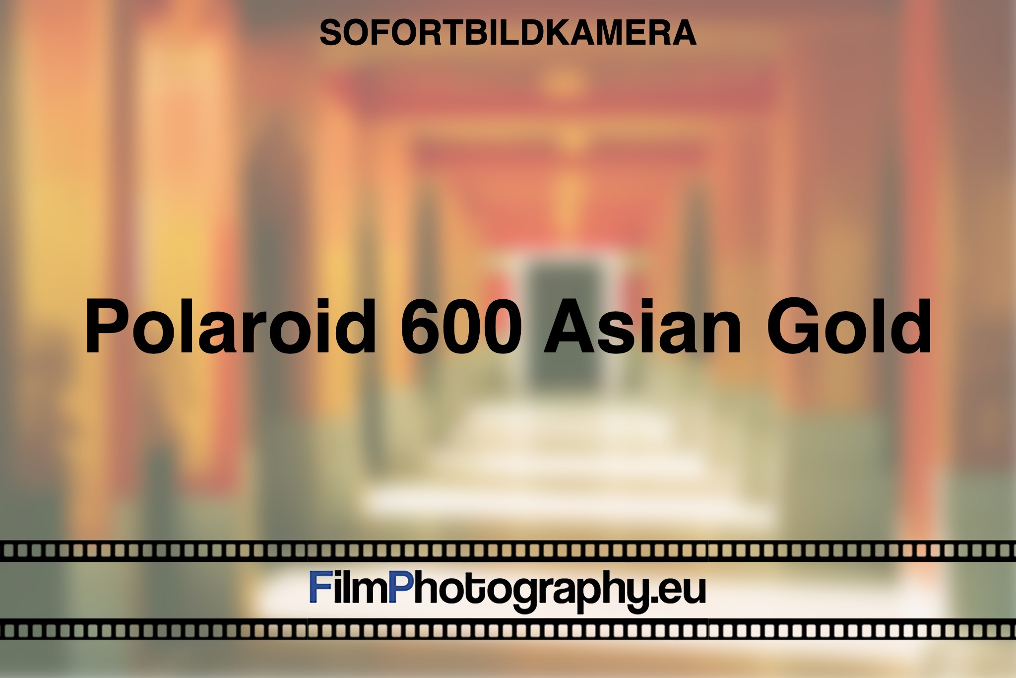 polaroid-600-asian-gold-sofortbildkamera-fp-bnv