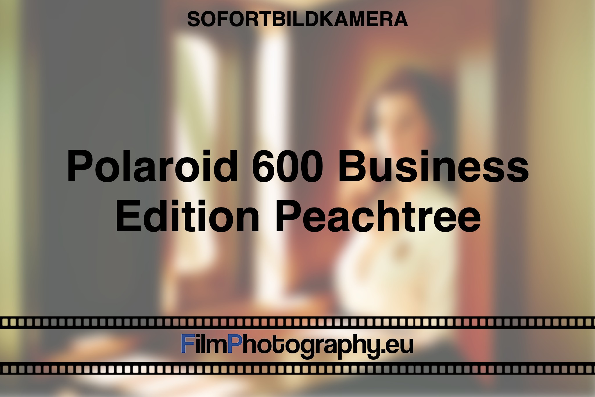 polaroid-600-business-edition-peachtree-sofortbildkamera-bnv