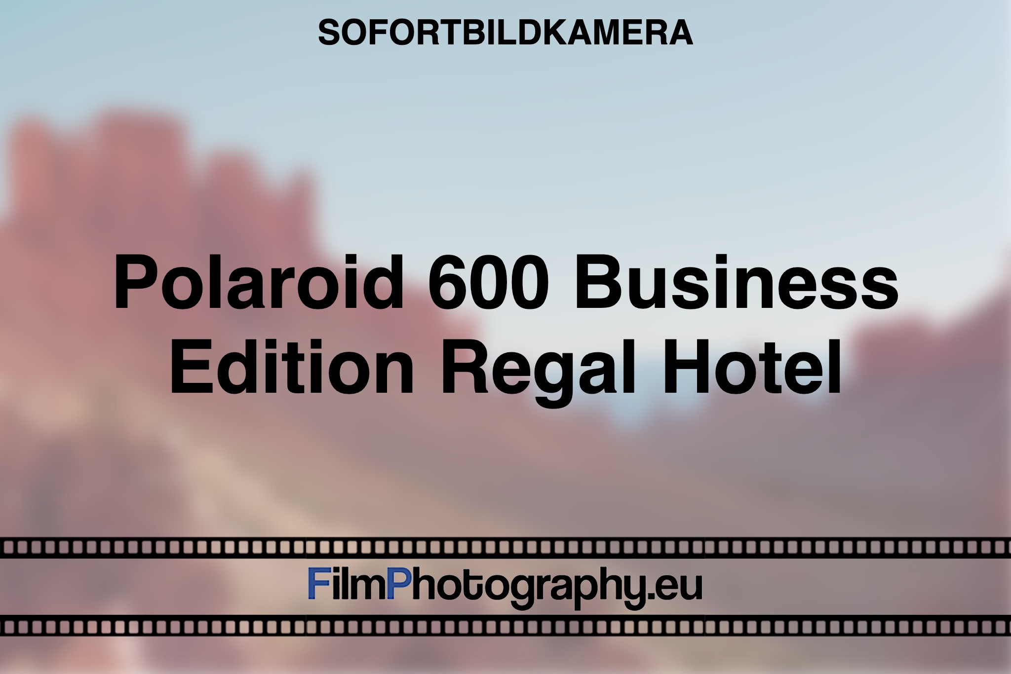 polaroid-600-business-edition-regal-hotel-sofortbildkamera-bnv