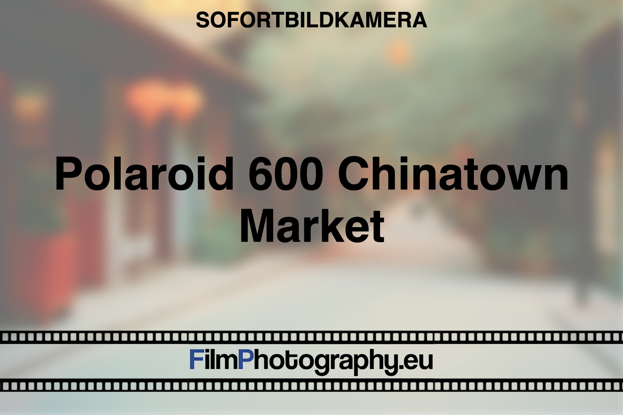 polaroid-600-chinatown-market-sofortbildkamera-fp-bnv