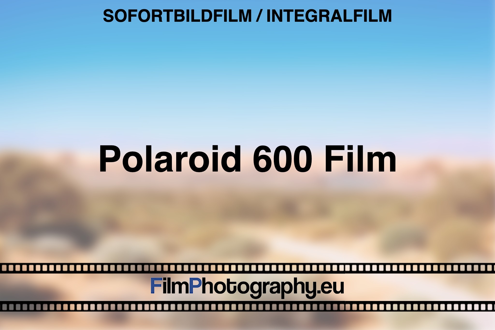 polaroid-600-film-sofortbildfilm-integralfilm-bnv