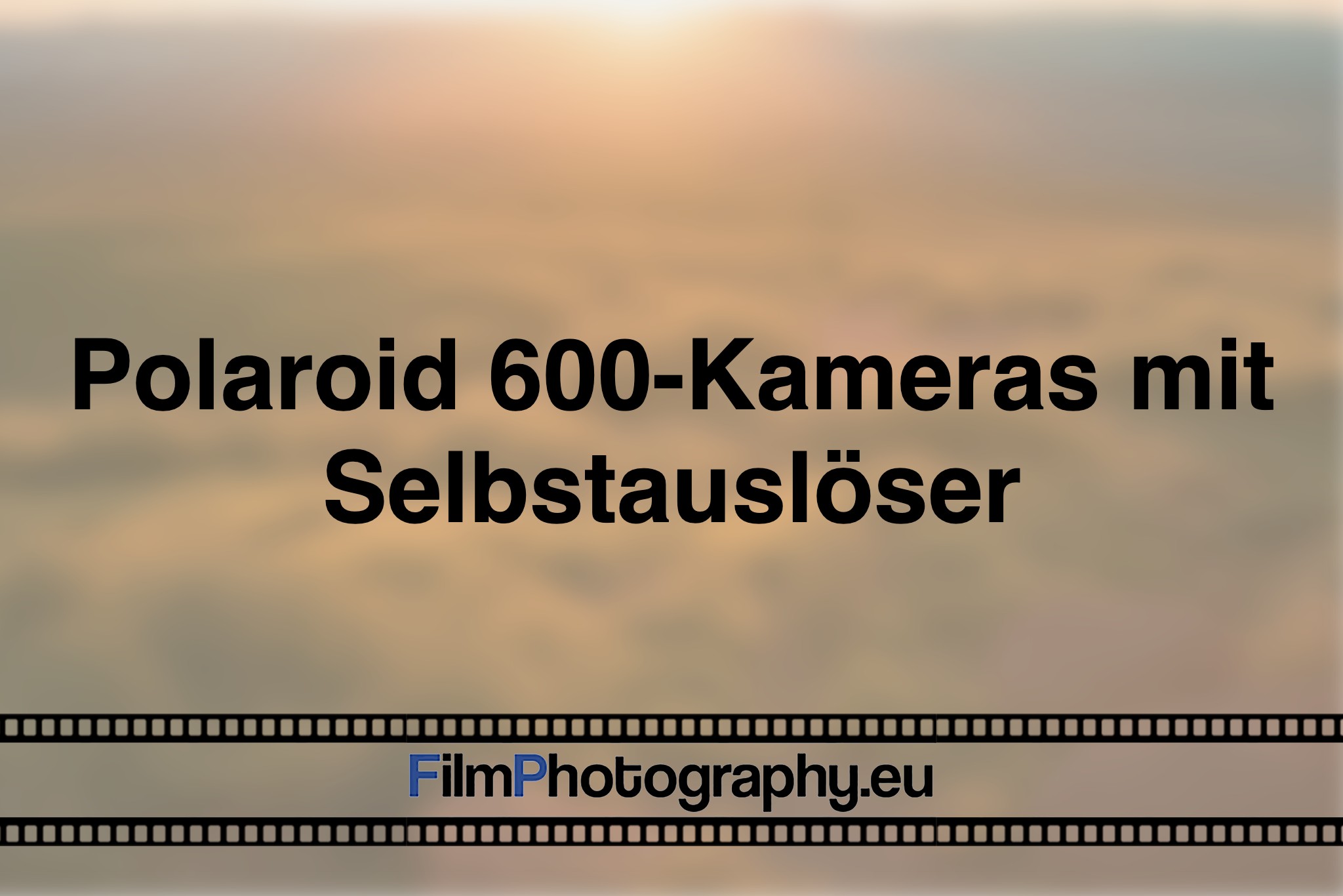 polaroid-600-kameras-mit-selbstausloeser-photo-bnv